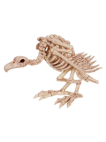 10 Inch Vulture Skeleton Prop