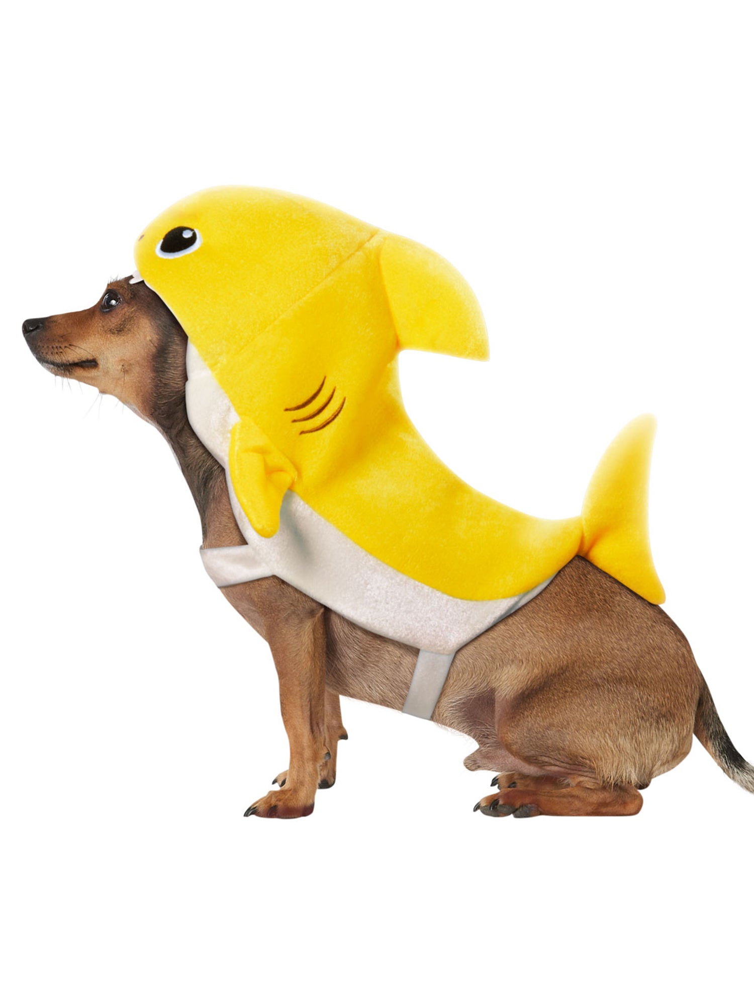 Baby Shark Pet Costume - costumes.com