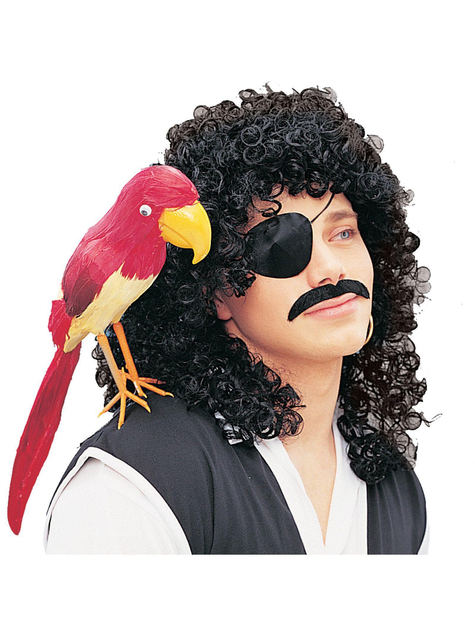 Adult Black Wild Curly Wig - costumes.com