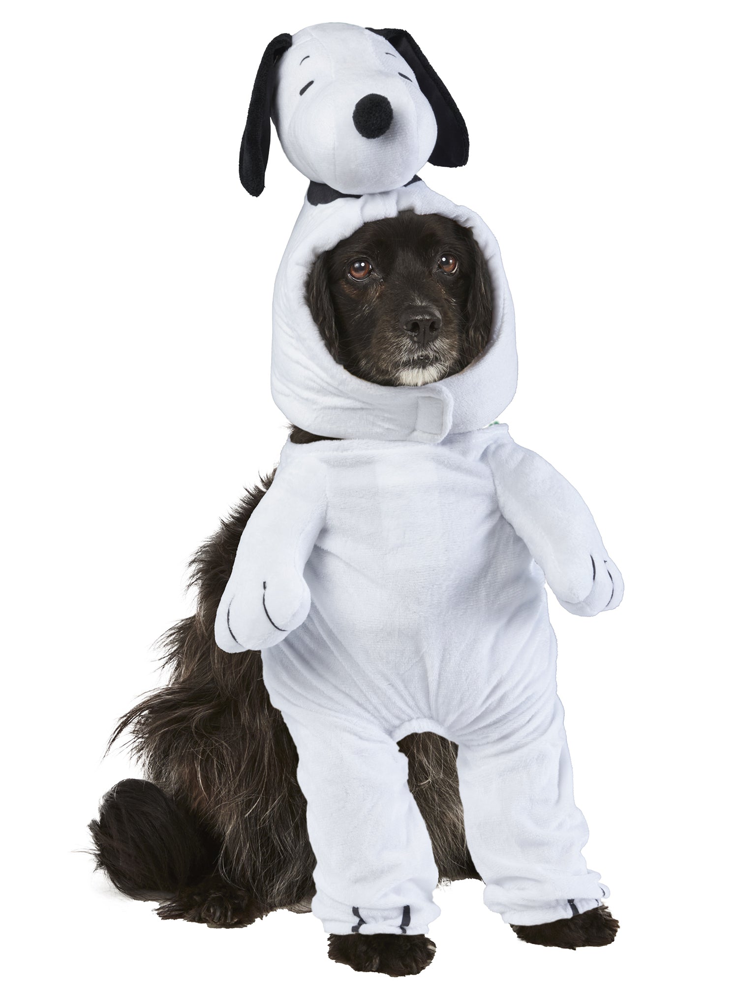 Peanuts Snoopy Walking Pet Costume - costumes.com