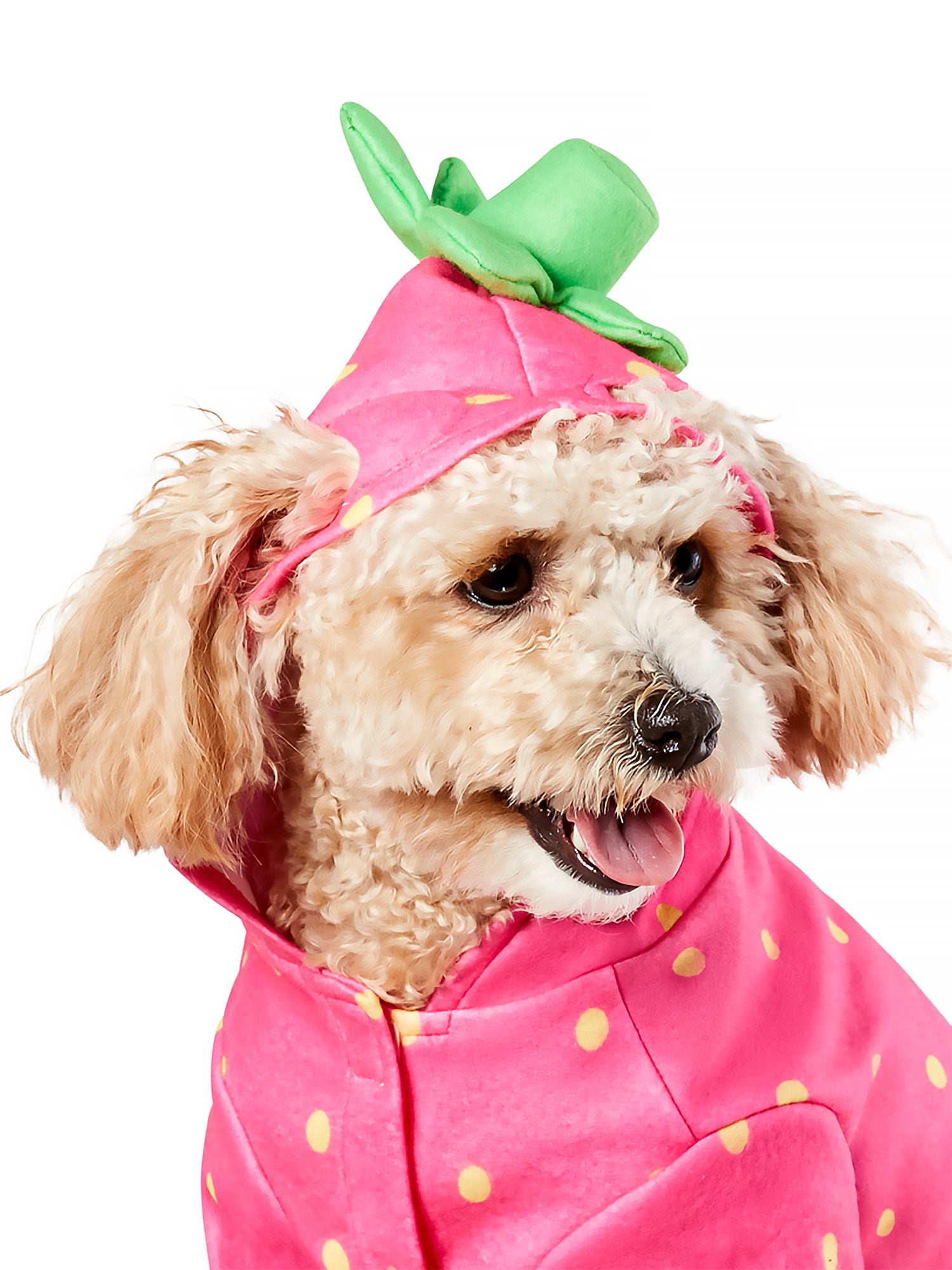 Sweet Strawberry Hoodie Pet Costume - costumes.com