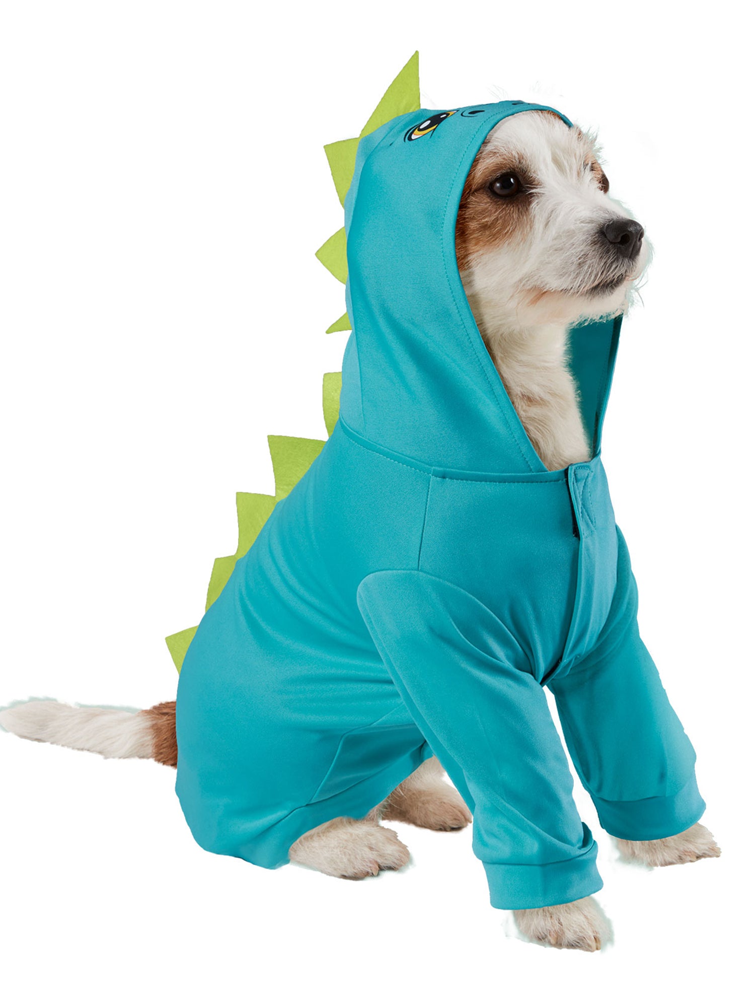 Dragon Pet Costume - costumes.com