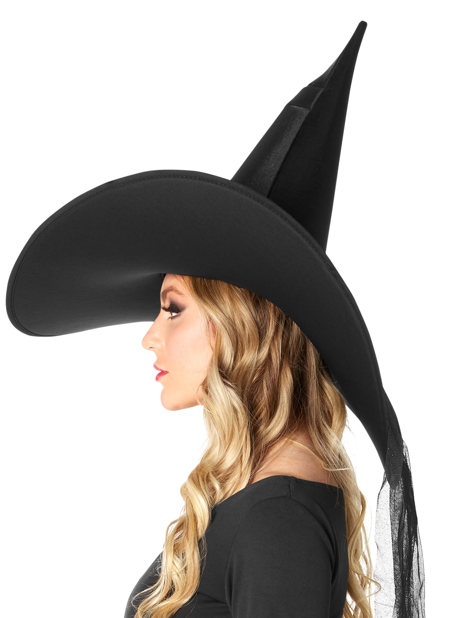 Adult Black Wide Brim Witch Hat - costumes.com