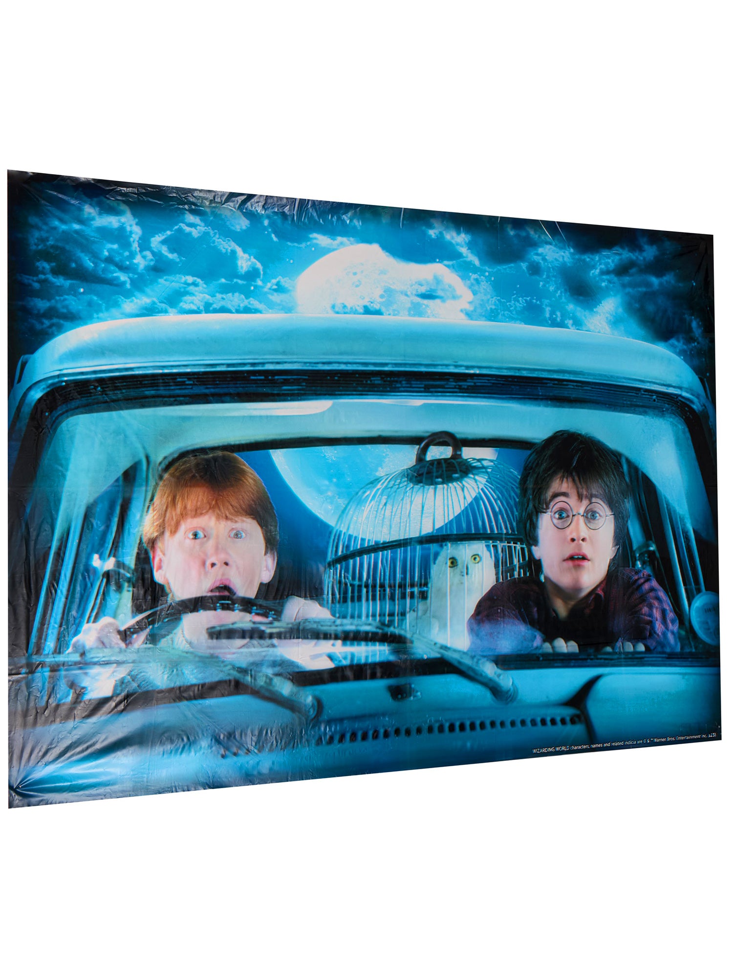 Harry Potter and Ron Weasley Window Cover Decoration - costumes.com