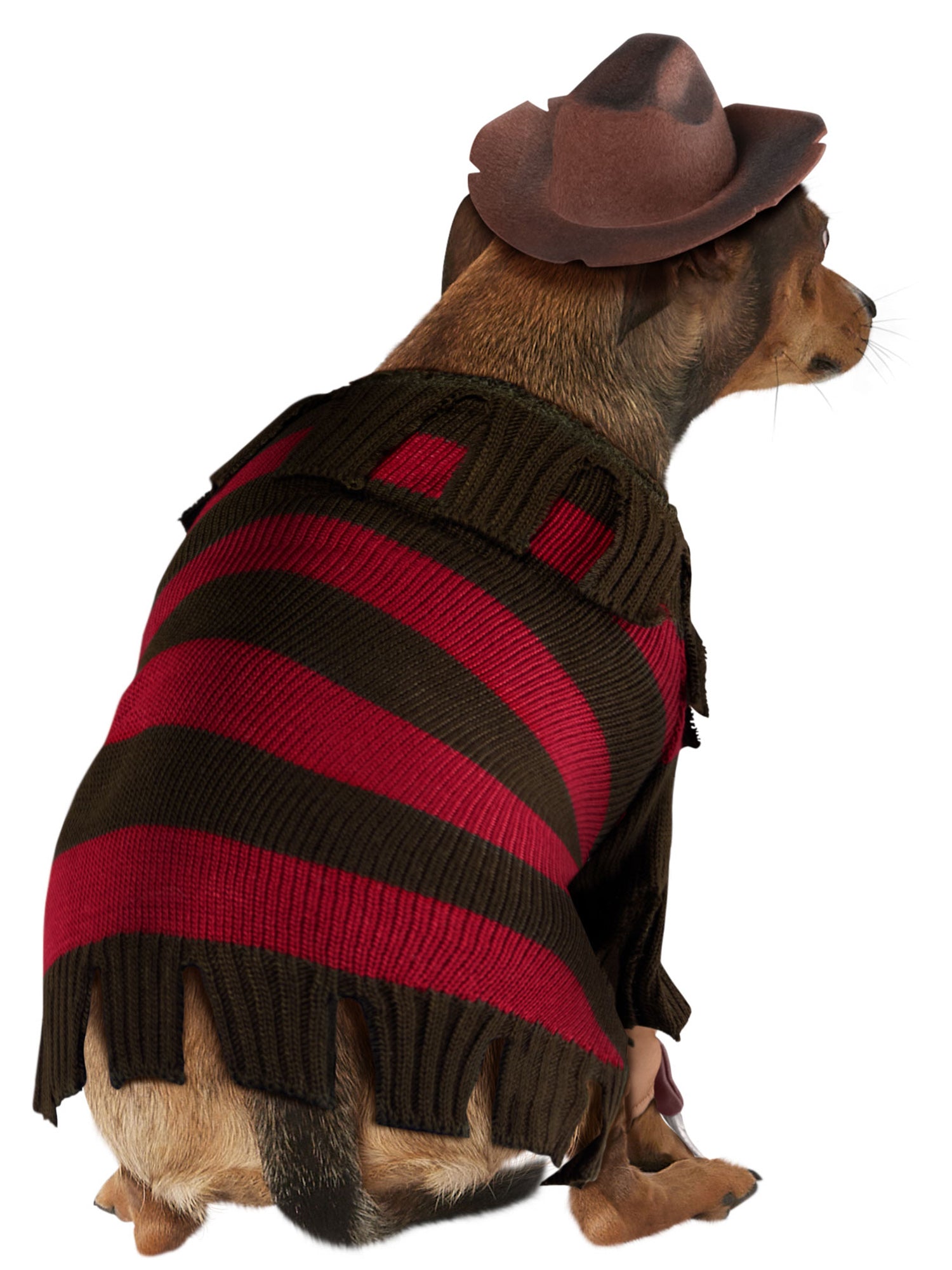 A Nightmare On Elm Street Freddy Krueger Pet Costume - costumes.com