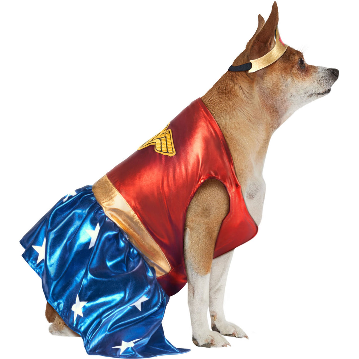 DC Comics Wonder Woman Big Dog Pet Costume - costumes.com