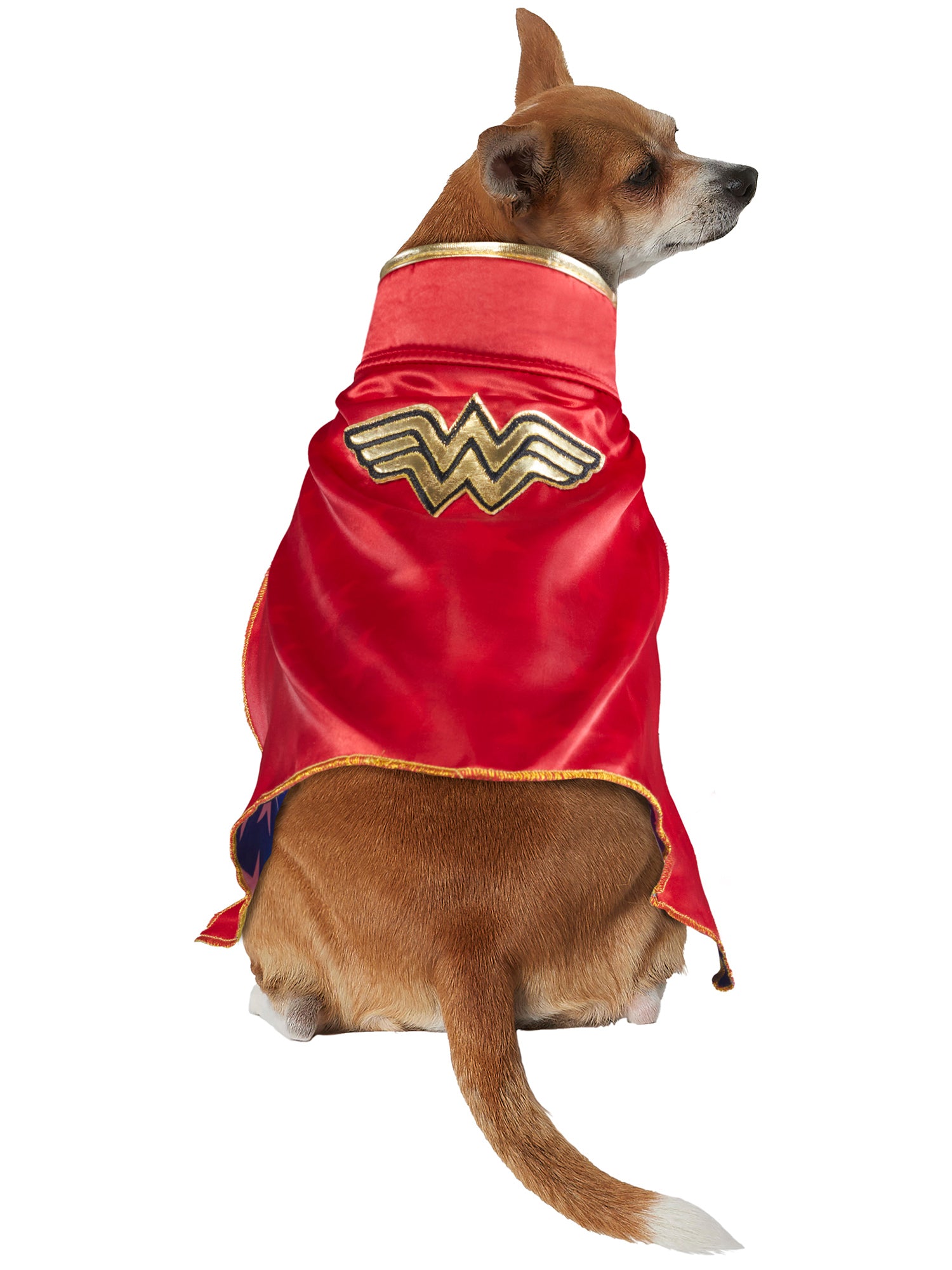 DC Comics Wonder Woman Pet Cape - costumes.com
