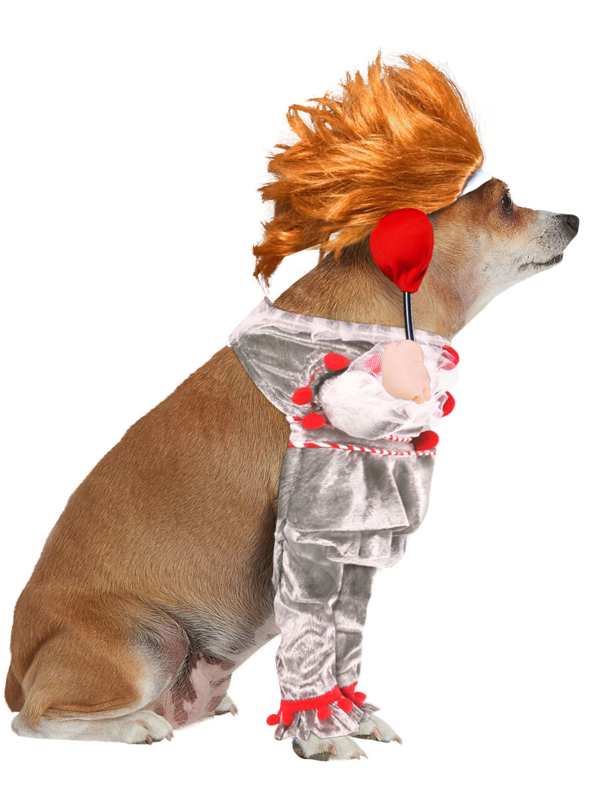 It Pennywise Walking Pet Costume - 2017 Movie - costumes.com