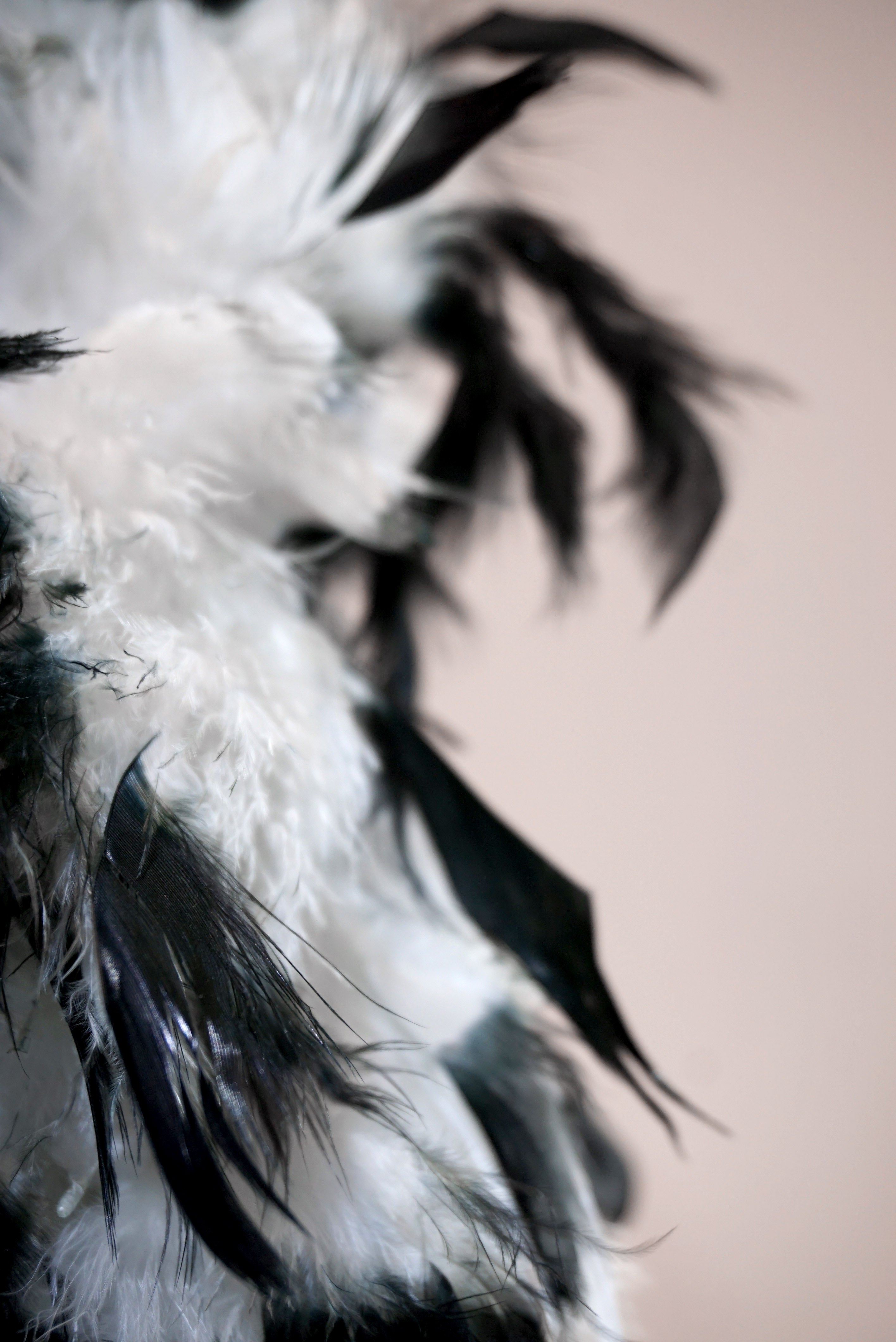 Women's White and Black Feather Boa - costumes.com