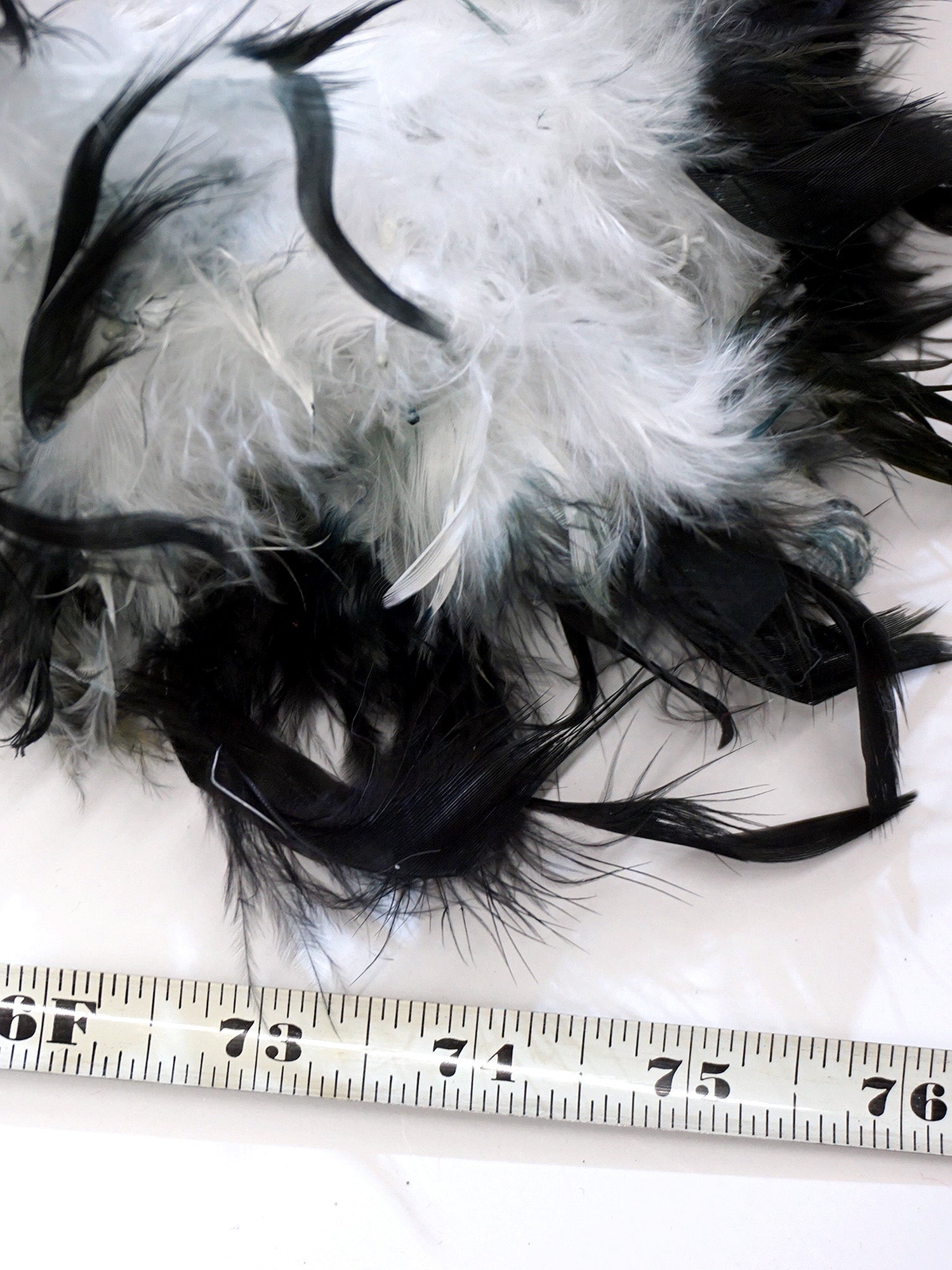 Women's White and Black Feather Boa - costumes.com