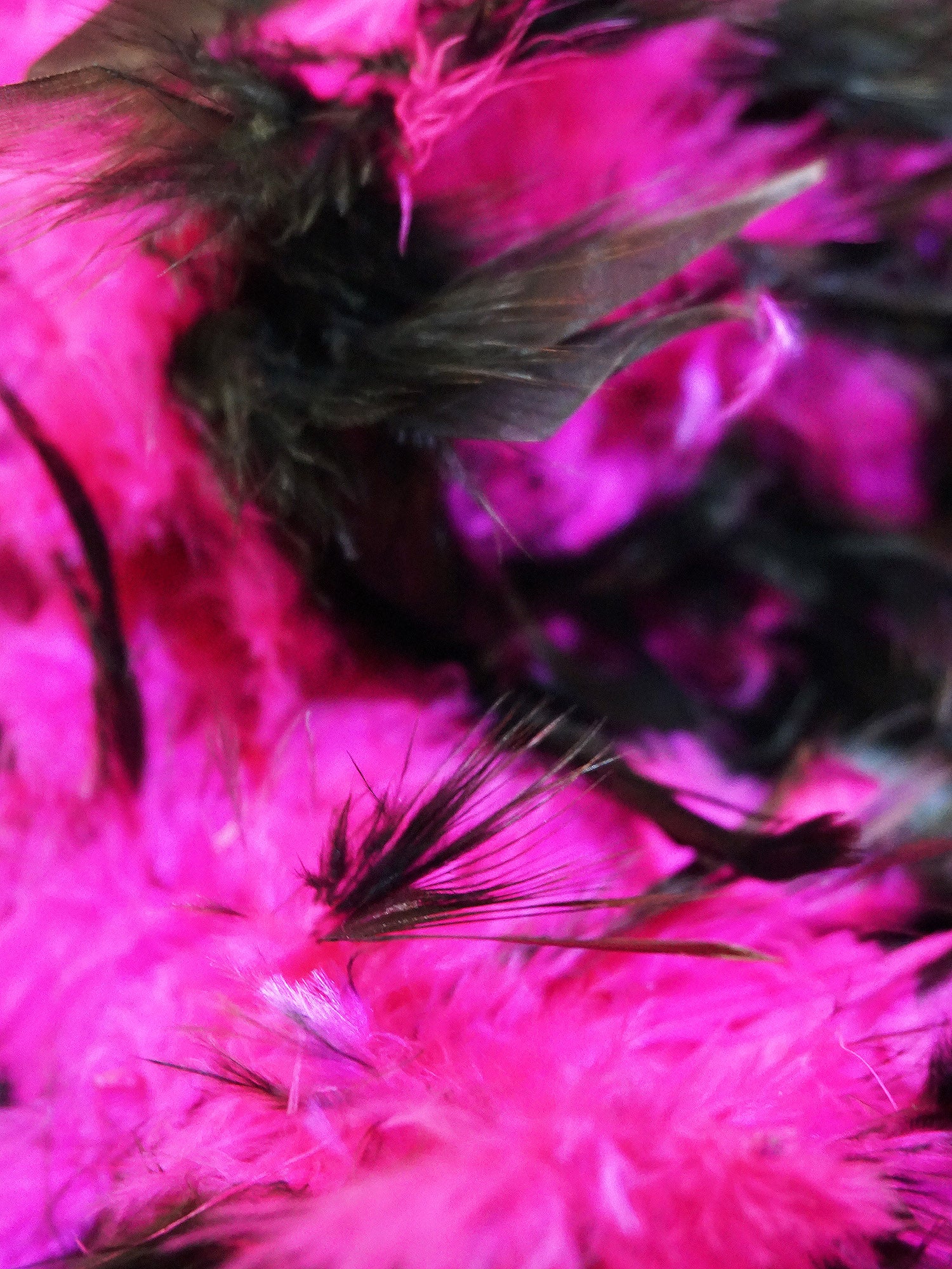 Women's Pink and Black Feather Boa - costumes.com