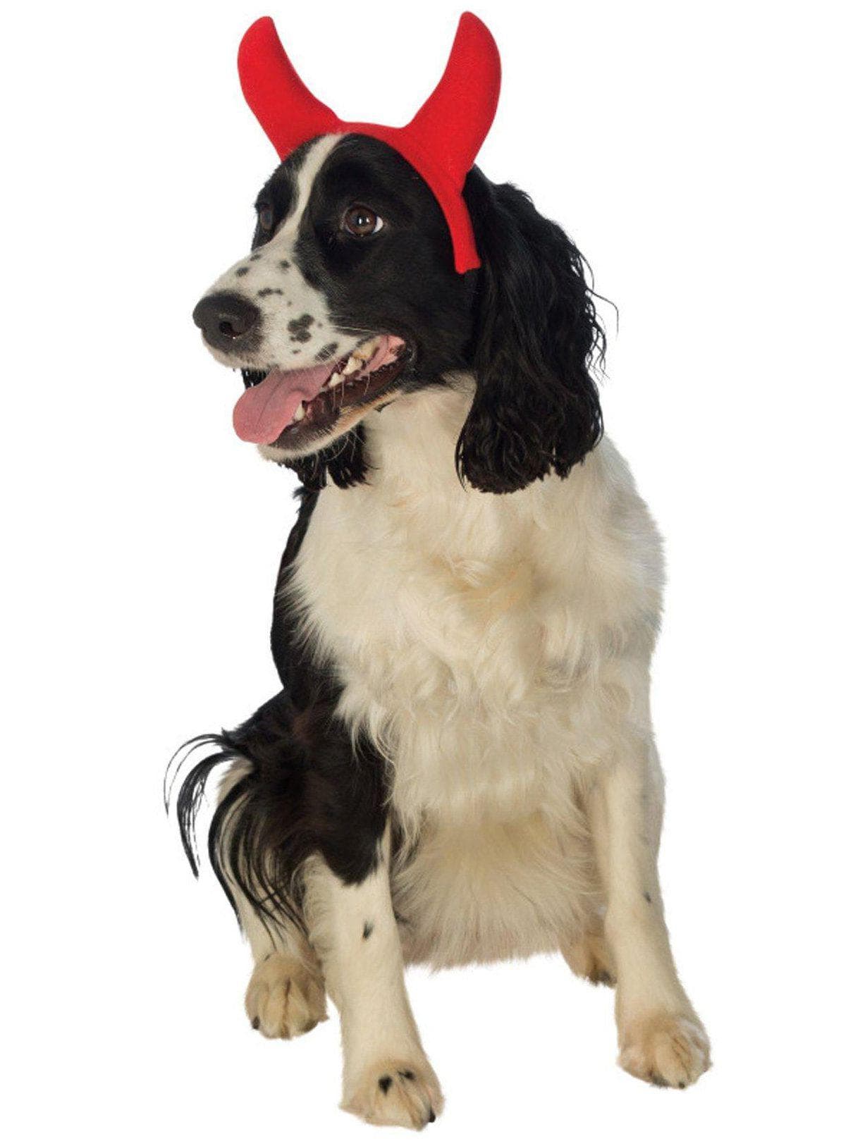 Devil Horns Pet Headpiece - costumes.com