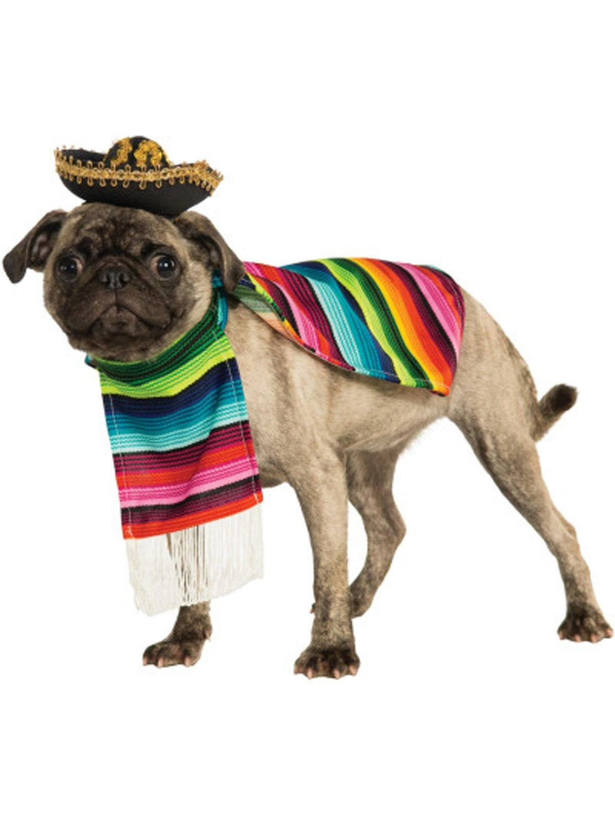 Fiesta Inspired Serape Pet Costume - costumes.com