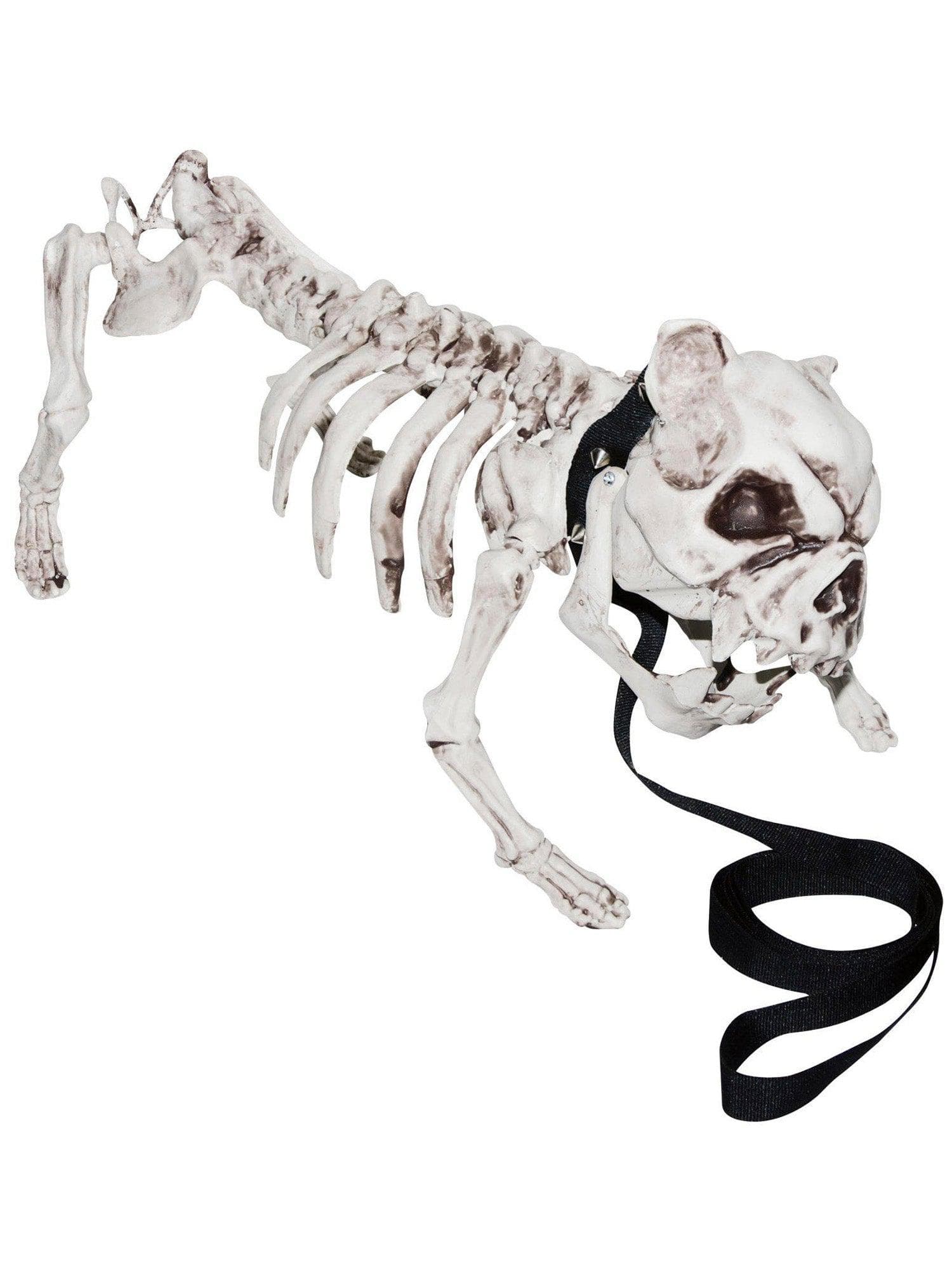 18.5-inch Dog Skeleton Prop - costumes.com