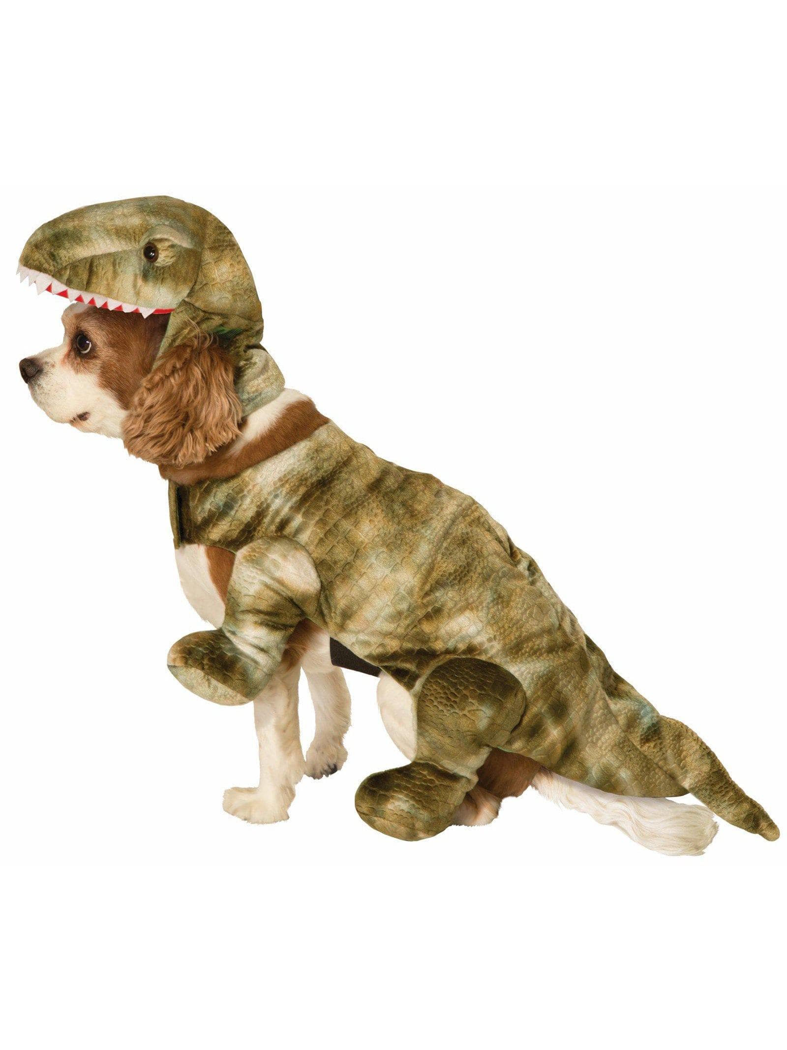 Pet's Pet Dinosaur Costume - costumes.com