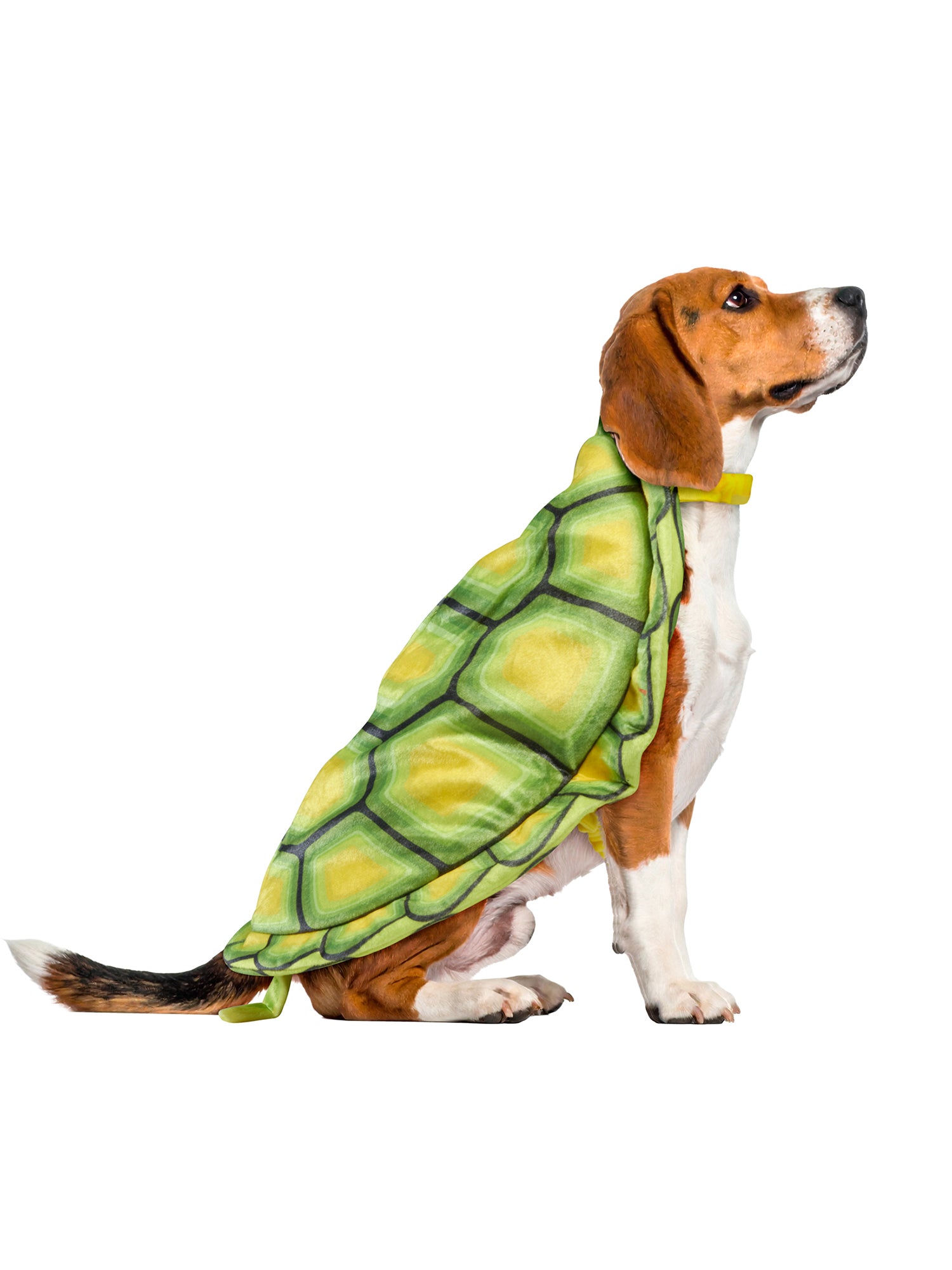 Turtle Shell Pet Costume - costumes.com