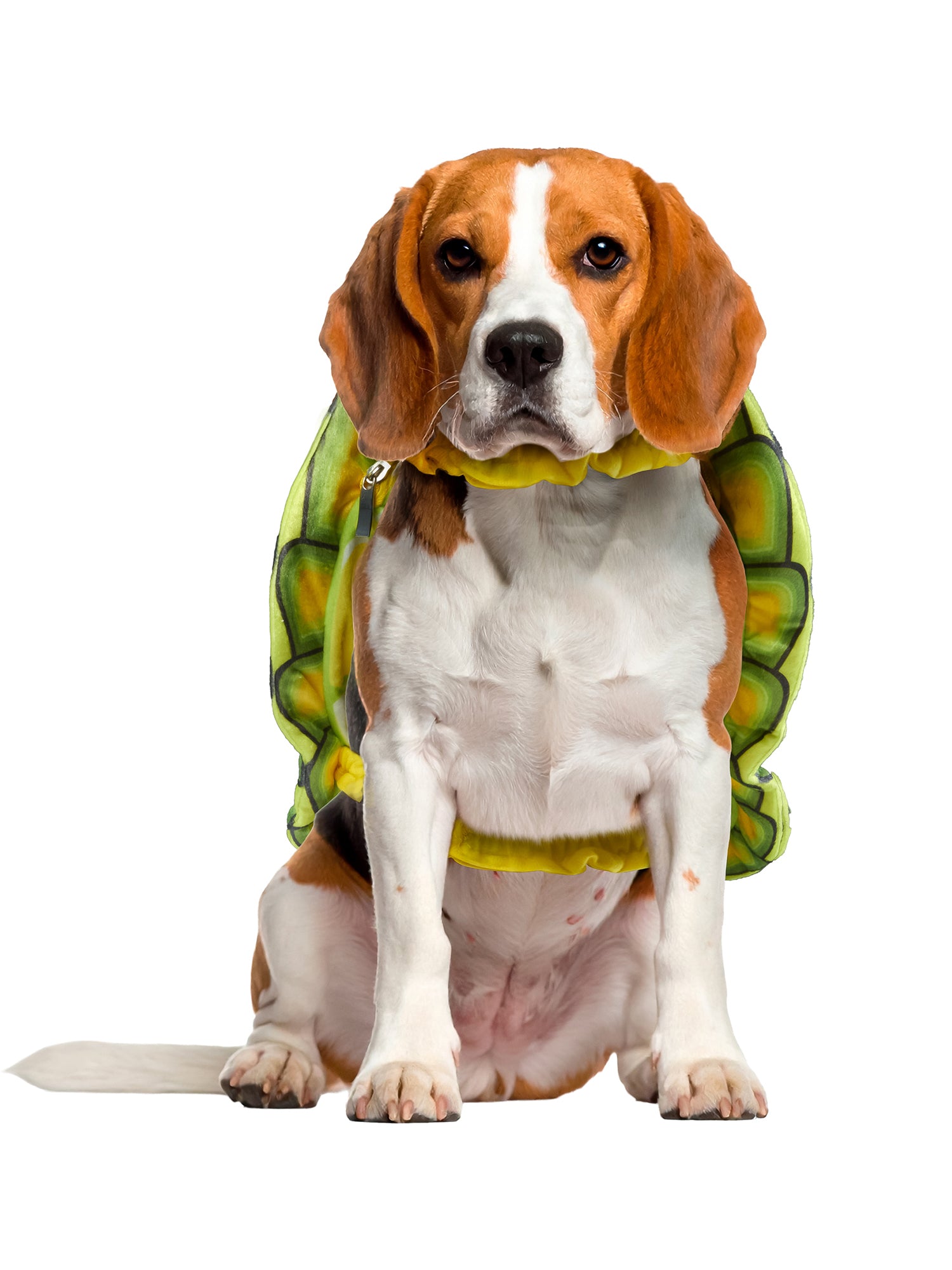 Turtle Shell Pet Costume - costumes.com
