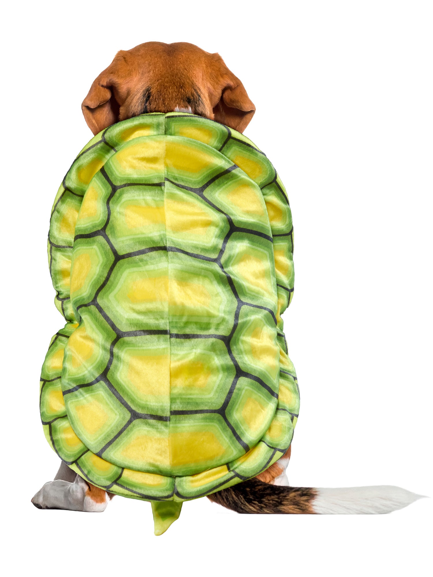 Turtle Shell Pet Costume - costumes.com
