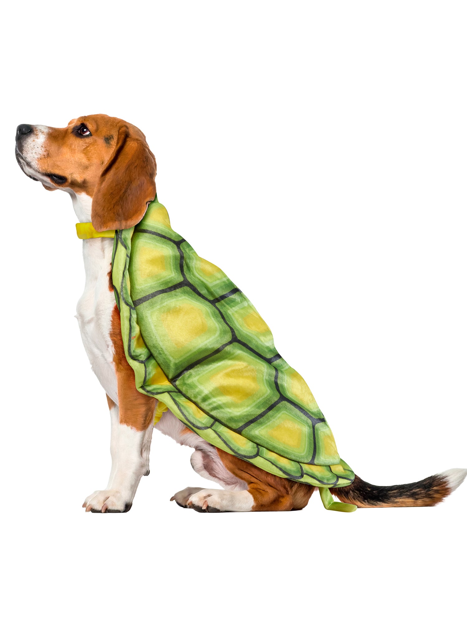 Turtle Shell Pet Costume - costumes.com