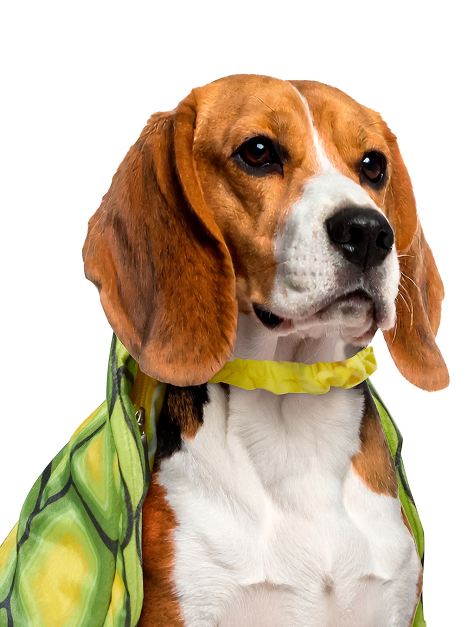 Turtle Shell Pet Costume - costumes.com