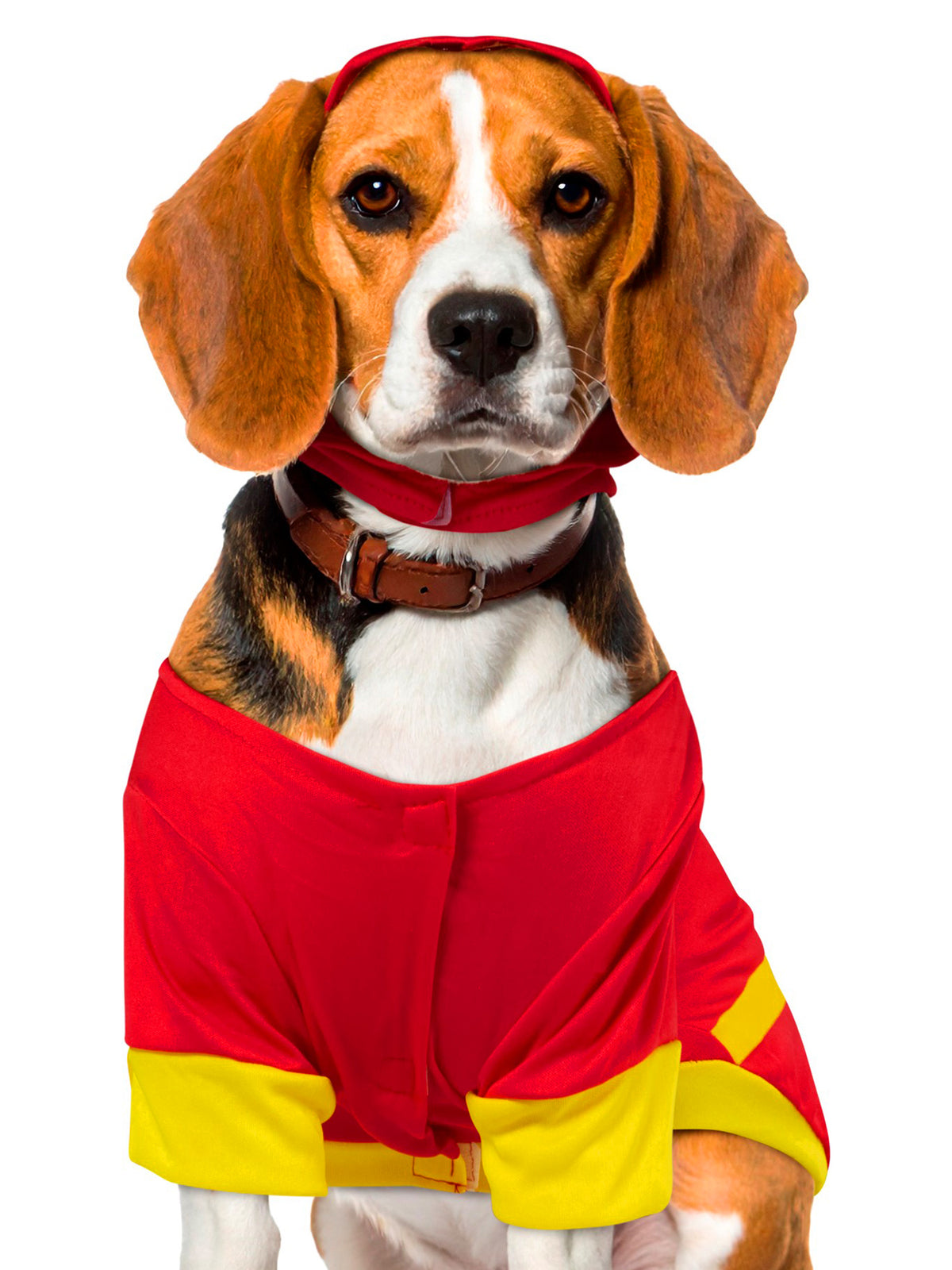 Justice League Flash Pet Costume - costumes.com