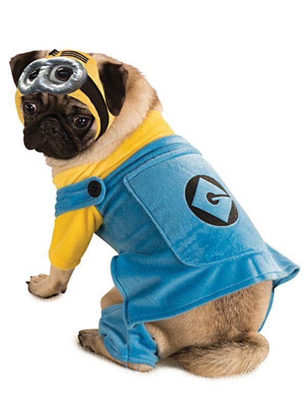 Despicable Me 2 Minion Pet Costume - costumes.com