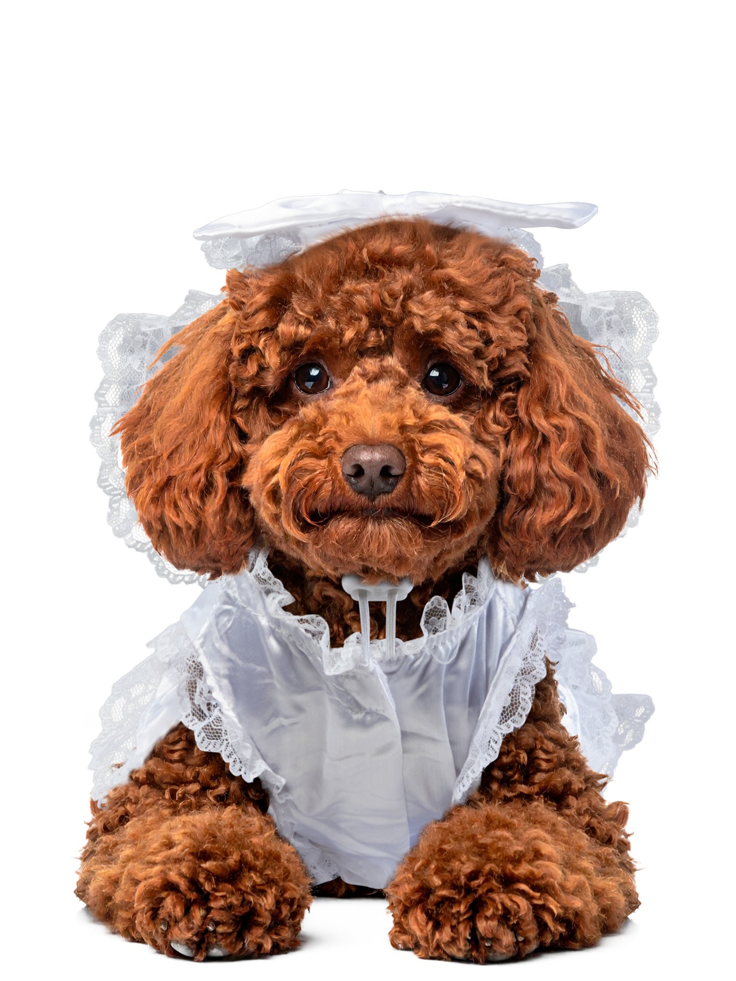 - costumes.com