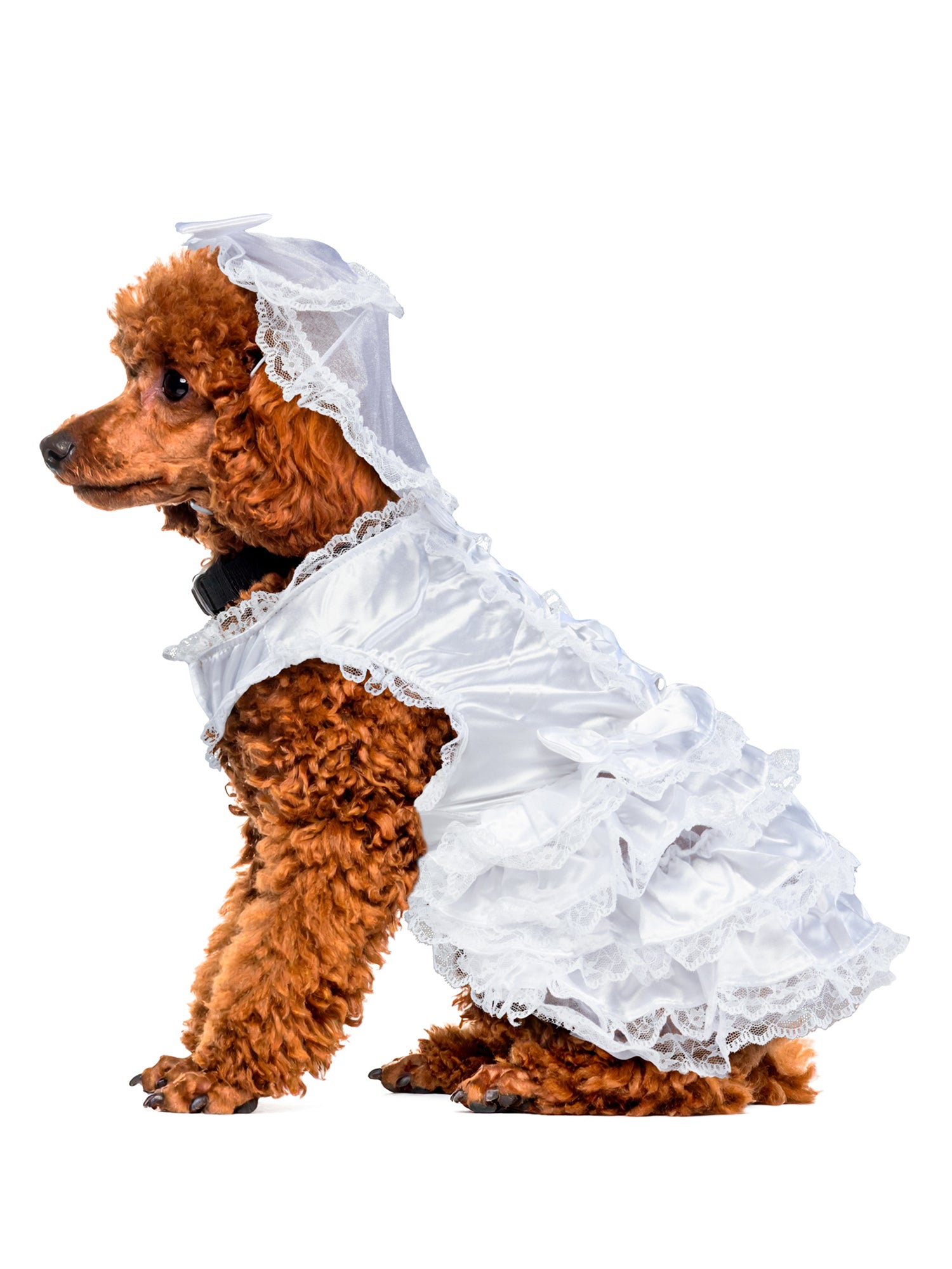 - costumes.com