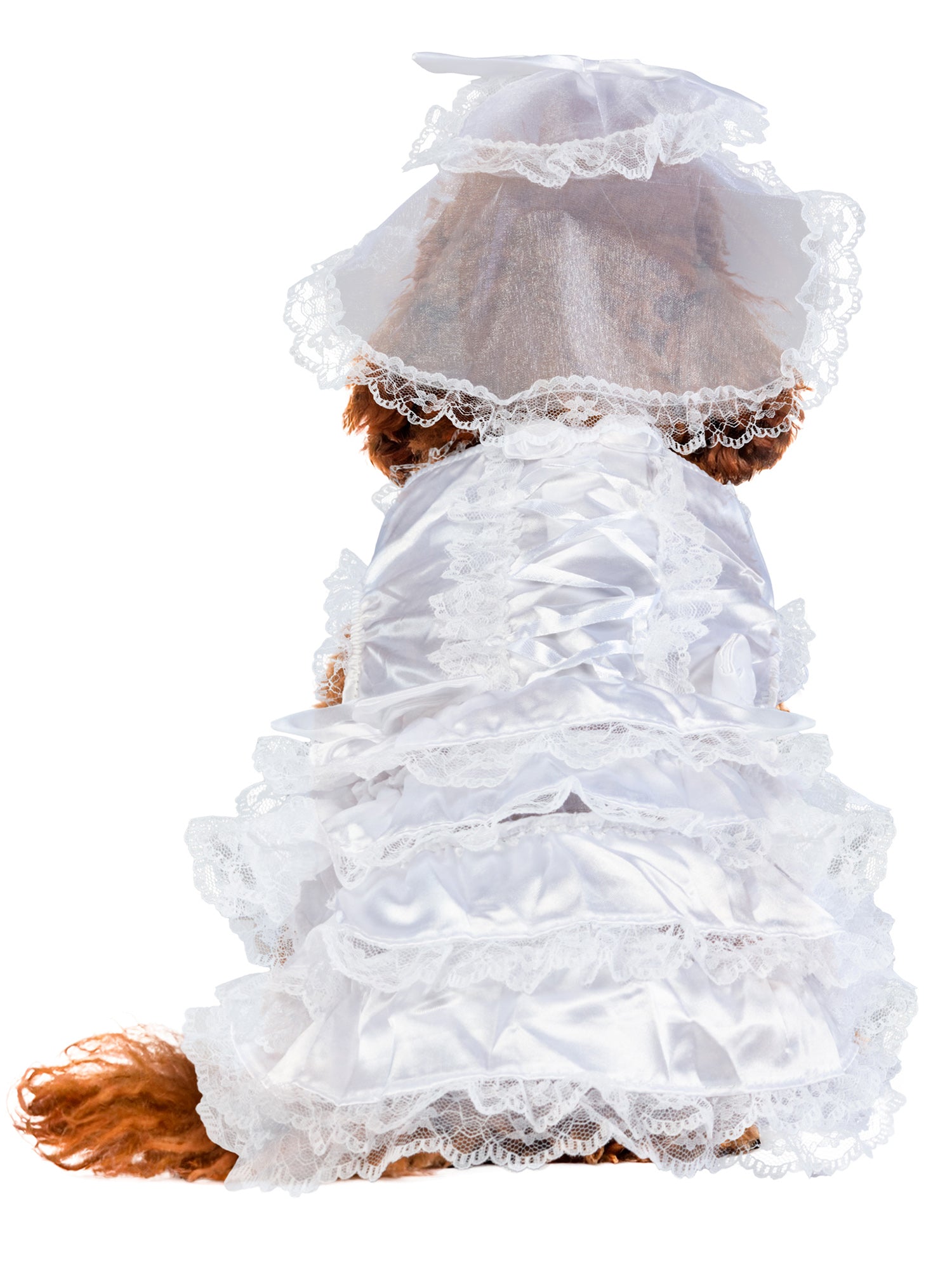 - costumes.com