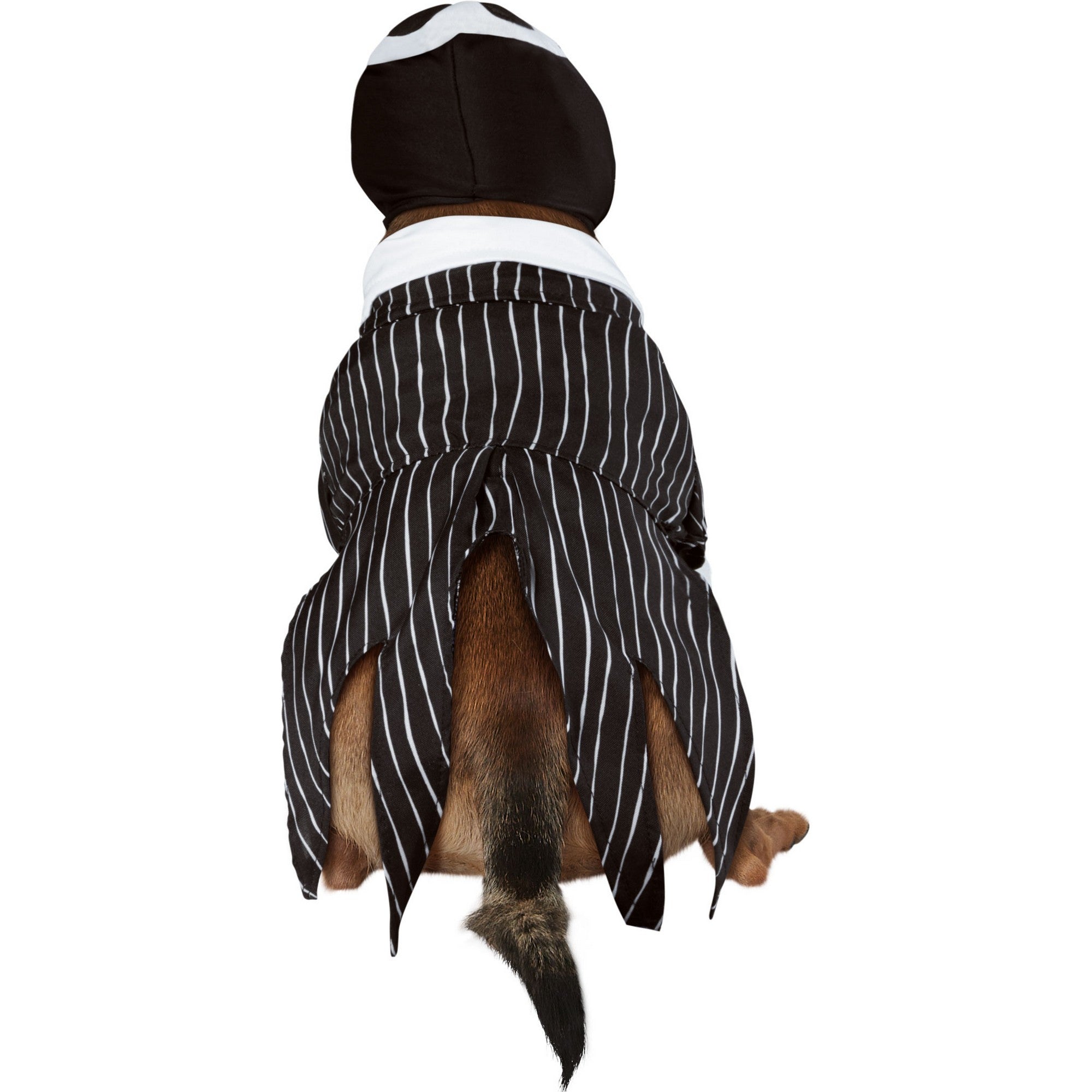 The Nightmare Before Christmas Jack Skellington Pet Costume - costumes.com