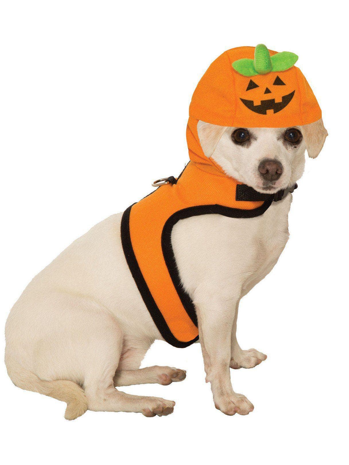 Pet Jack-o-Lantern Costume - costumes.com