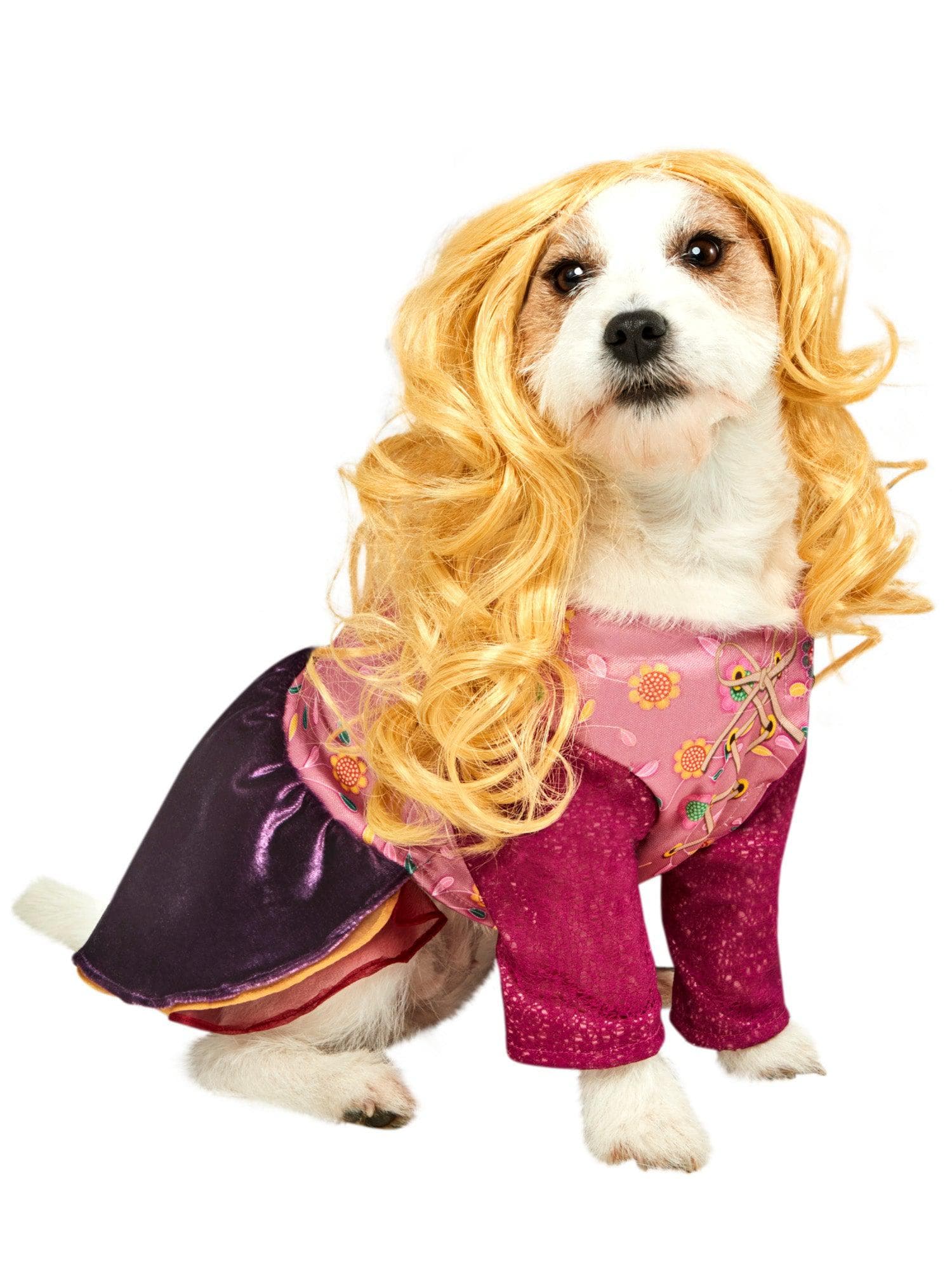 Hocus Pocus Sarah Pet Costume - costumes.com