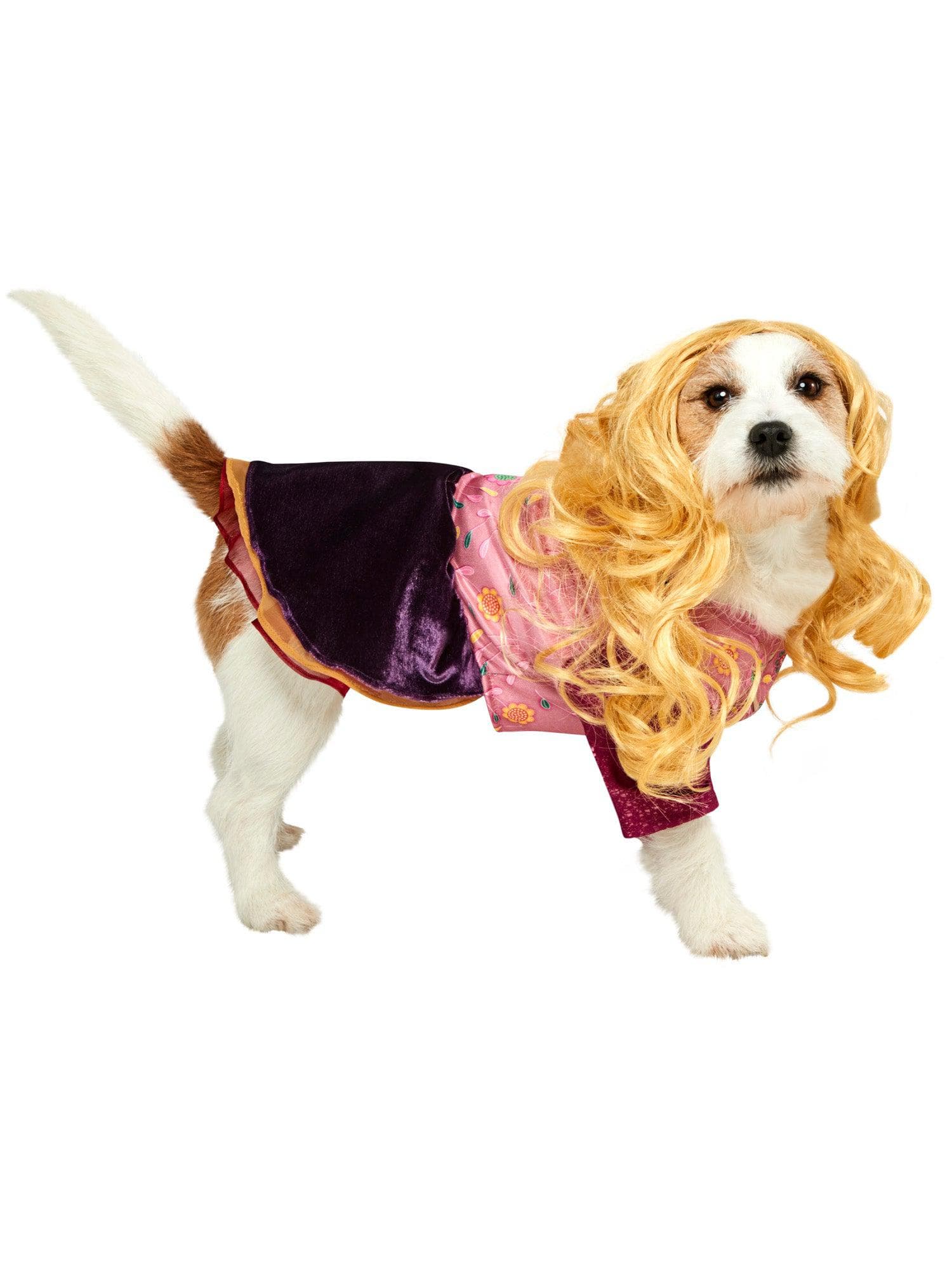 Hocus Pocus Sarah Pet Costume - costumes.com