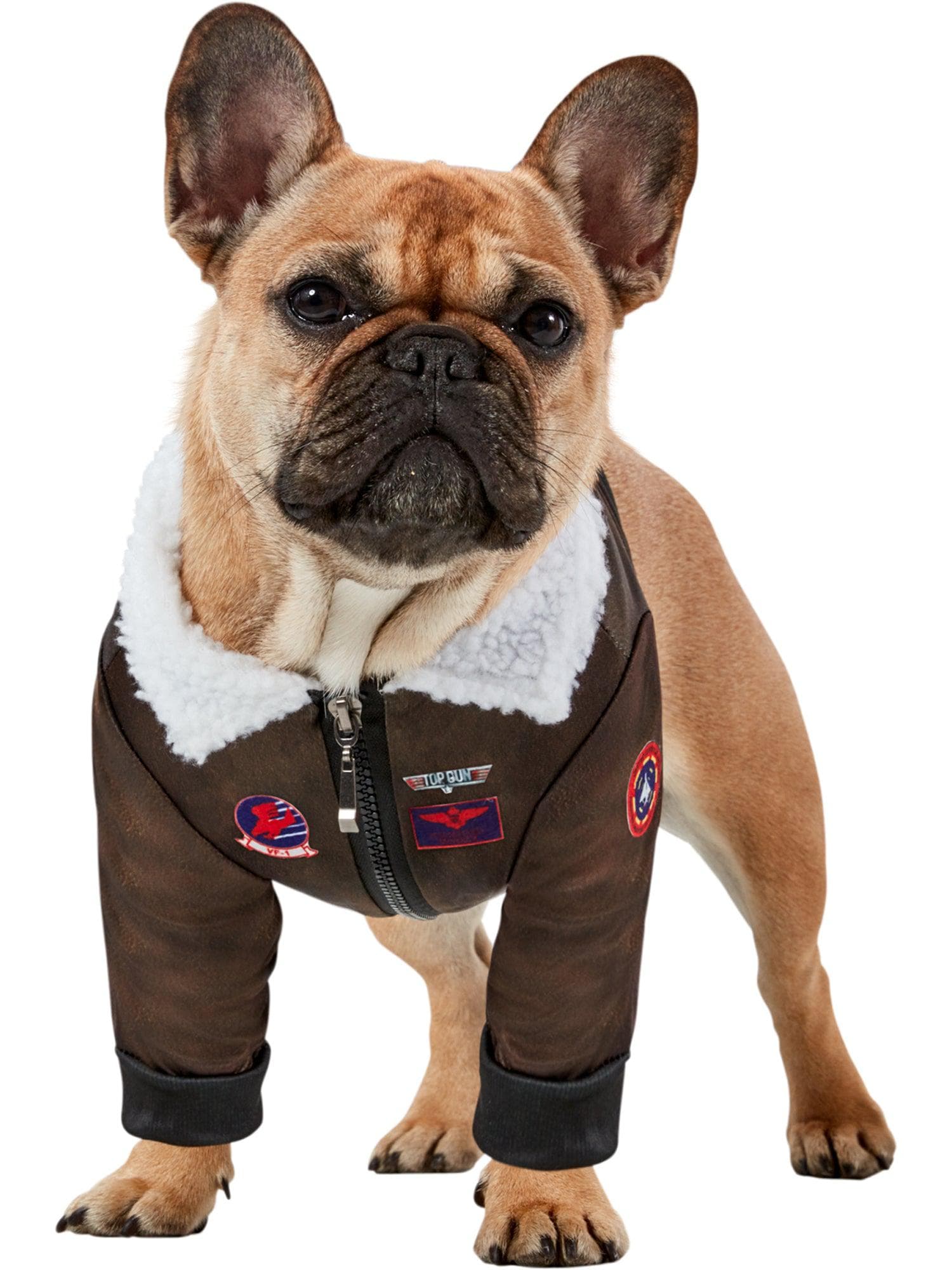 Top Gun Pet Jacket - costumes.com