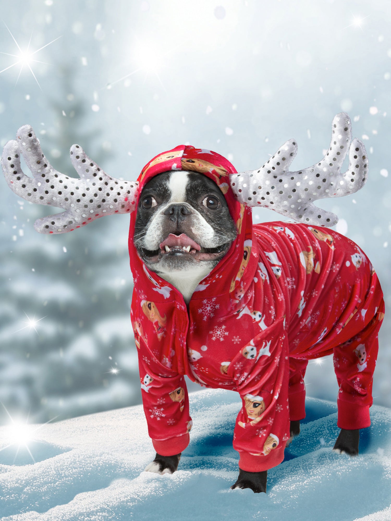 Mariah Carey Christmas PJs For Pets