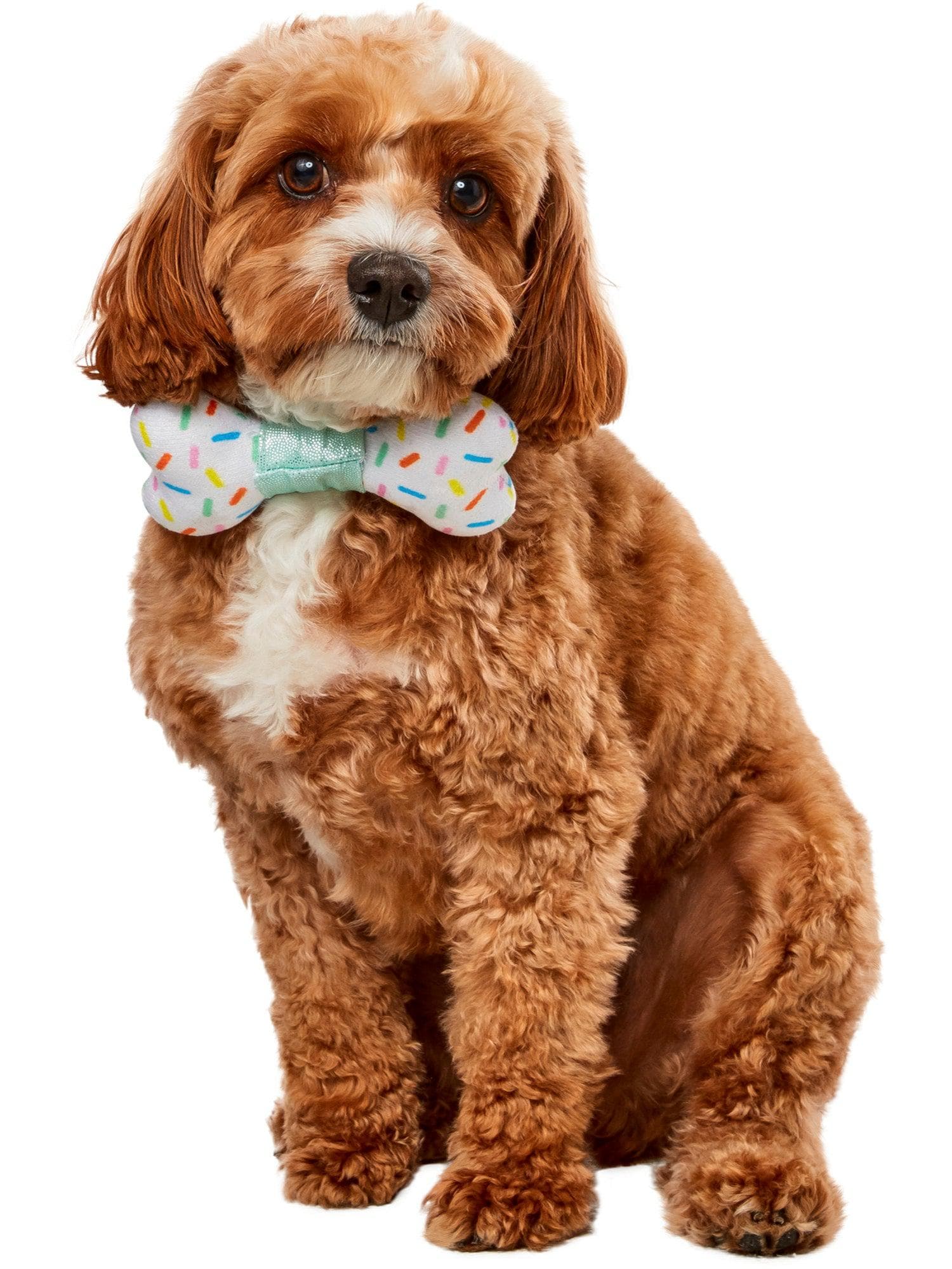 Sprinkles Bone Pet Bowtie - costumes.com