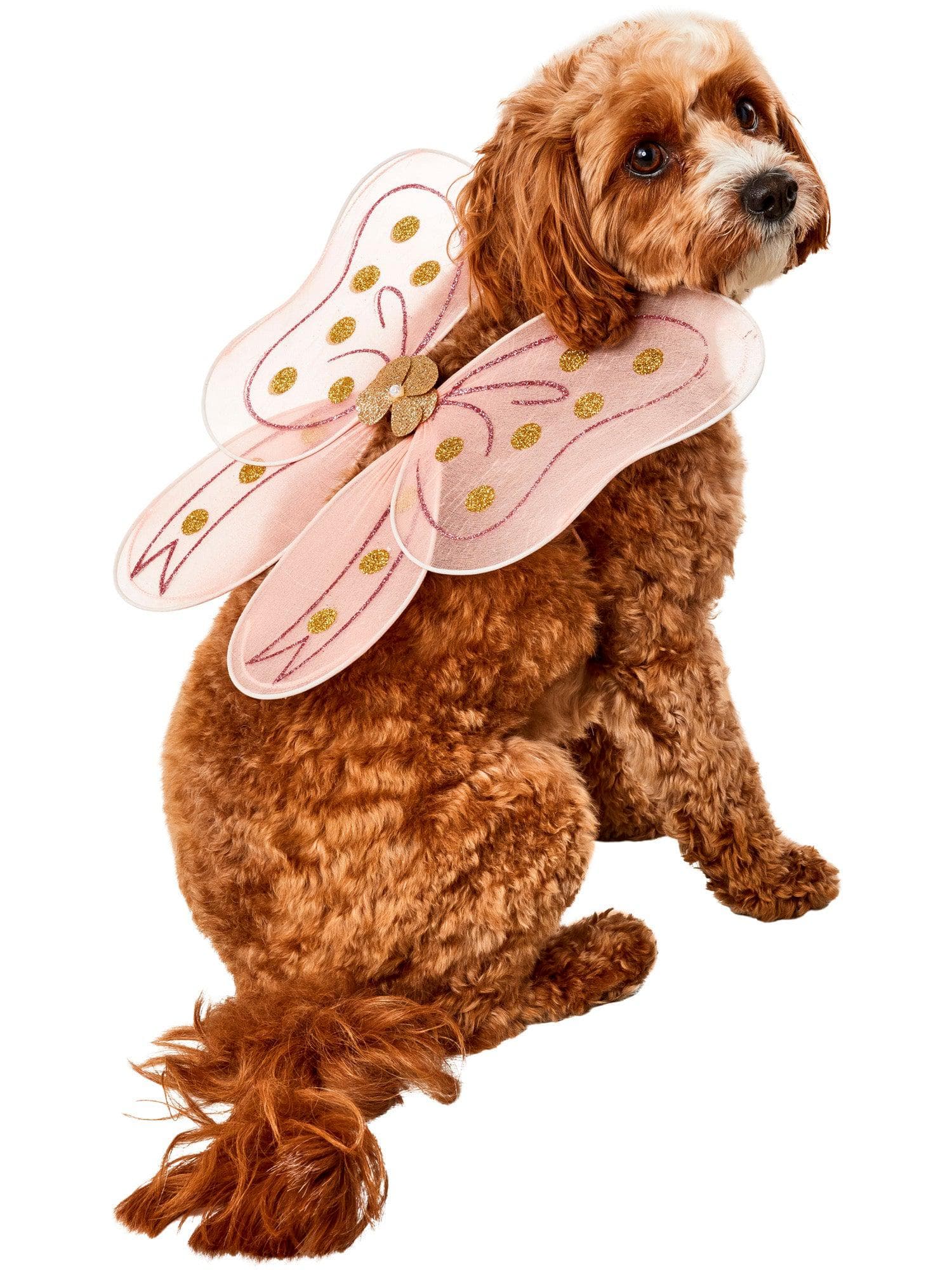 Birthday Bow Pet Fairy Wings - costumes.com