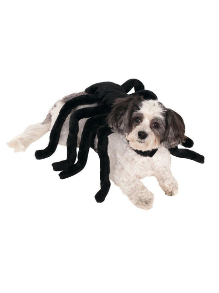 Spooky Black Spider Pet Harness