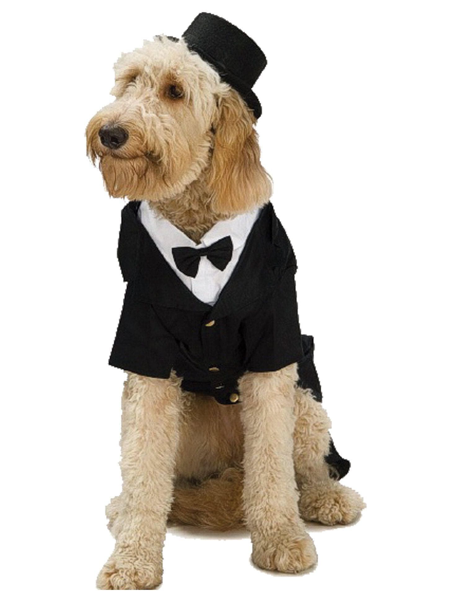 Top Hat Pet Headpiece - costumes.com