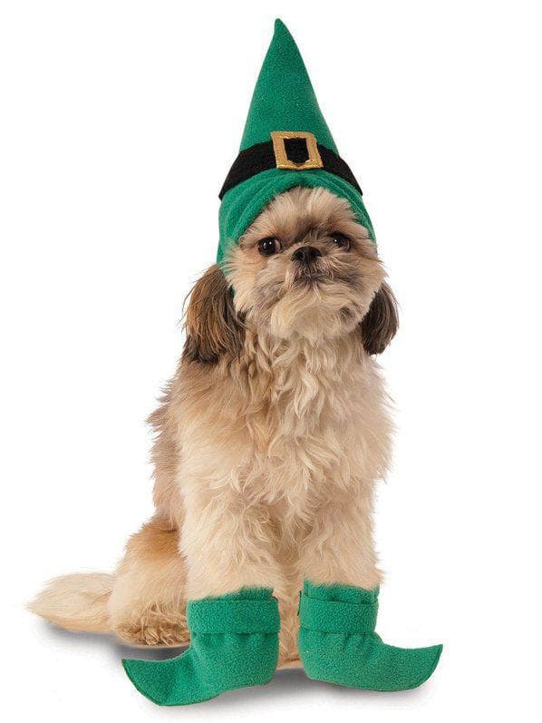 Pet Elf Kit Costume - costumes.com