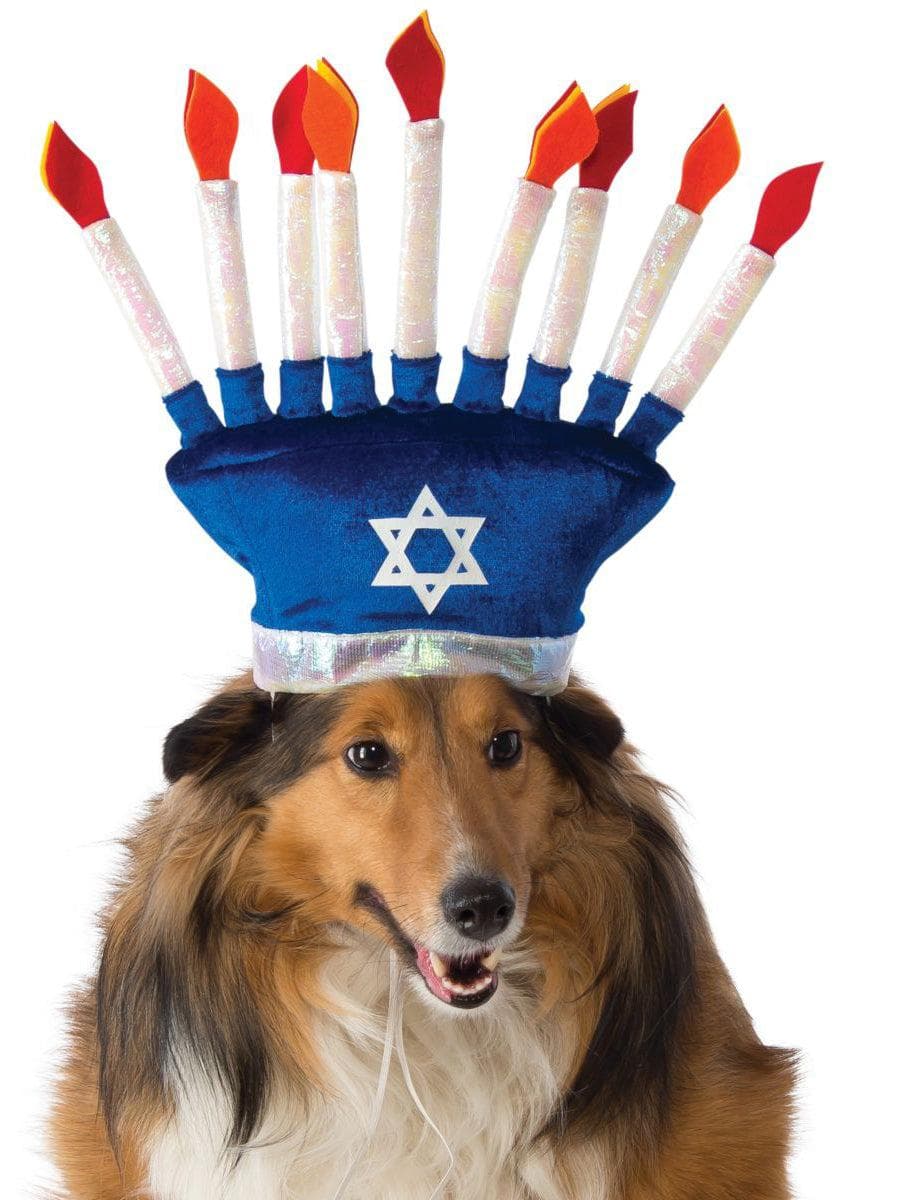 Menorah Pet Hat - costumes.com