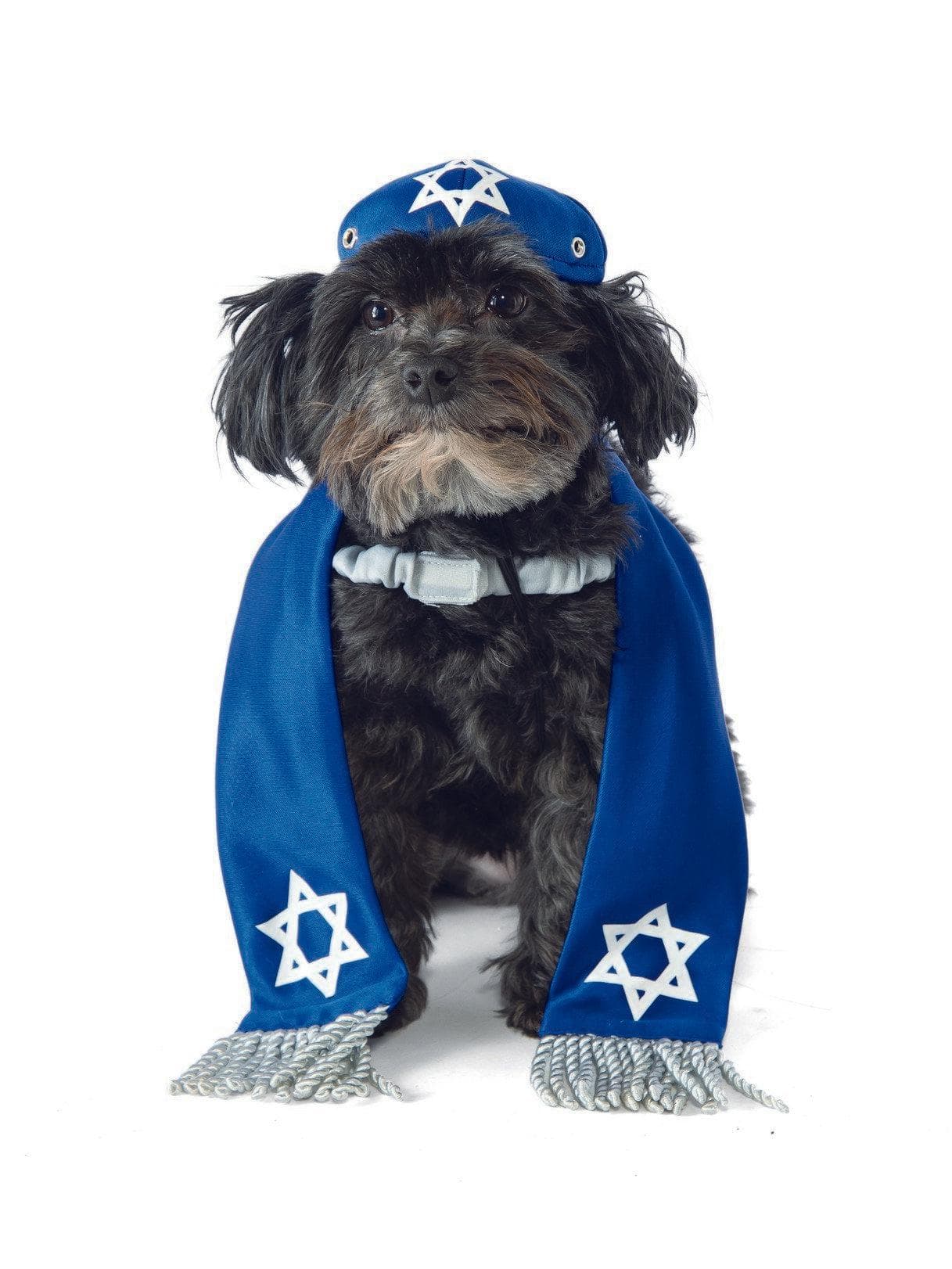 Yarmulke & Tallis Pet Accessories - costumes.com