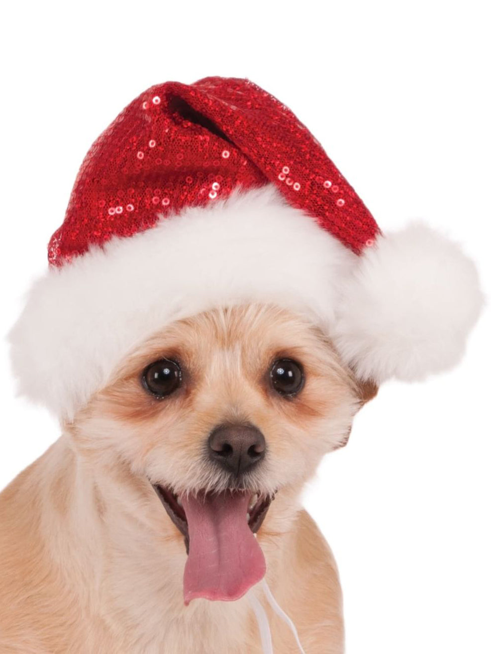 Red Sequin Pet Santa Hat - costumes.com