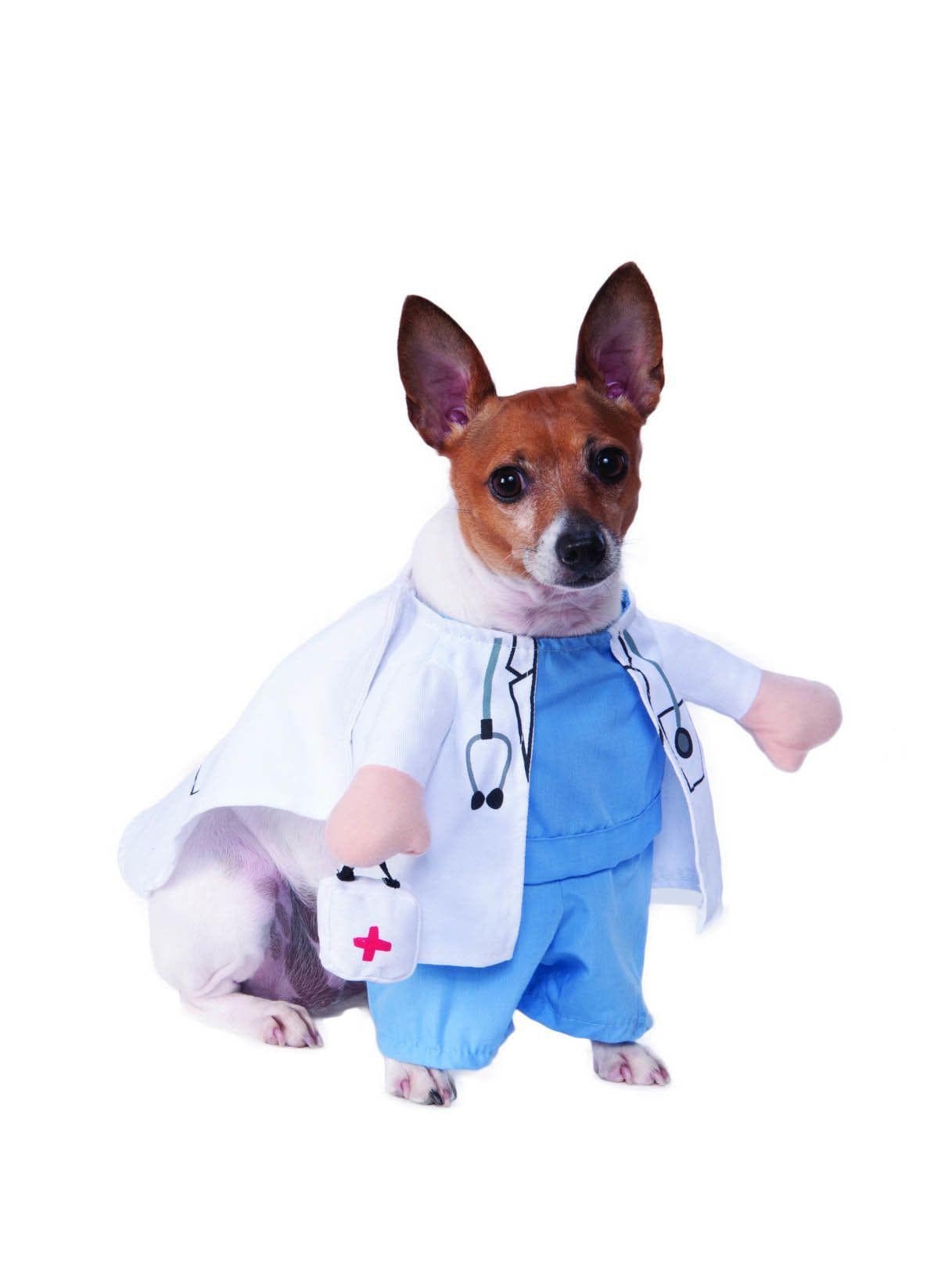Veterinarian Walking Pet Costume - costumes.com