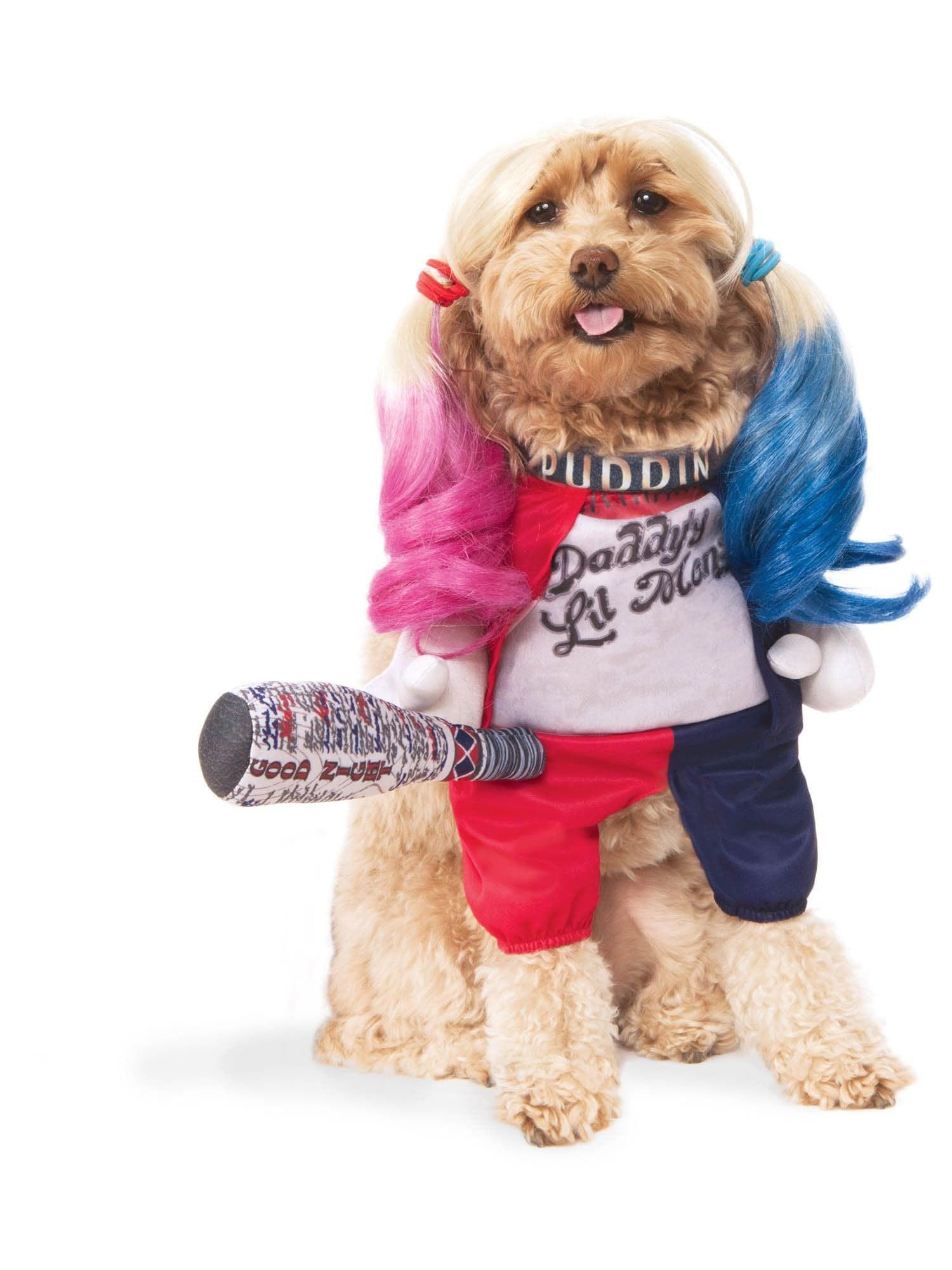 Suicide Squad Harley Quinn Pet Costume - costumes.com