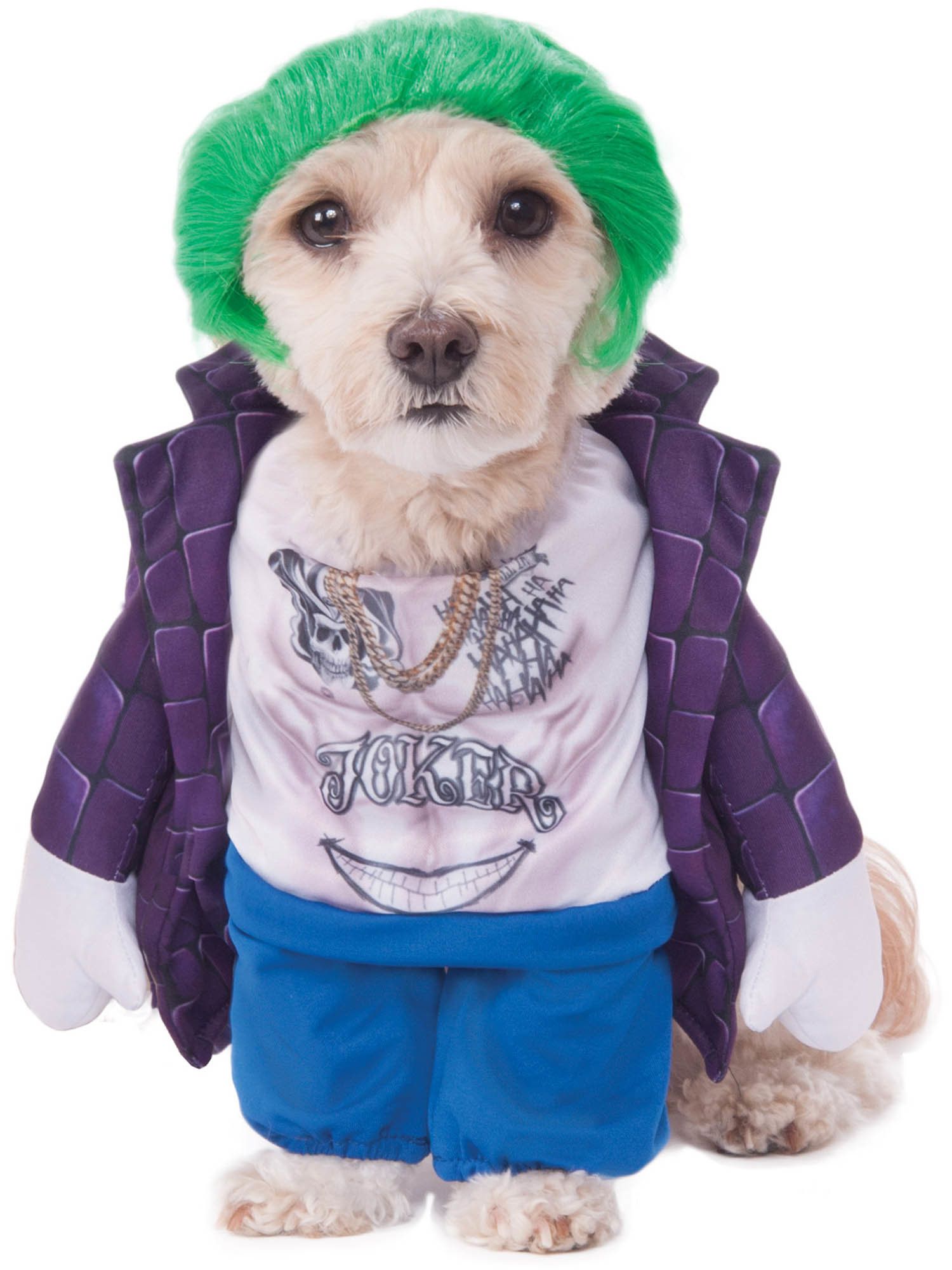 Suicide Squad Joker Pet Costume - costumes.com