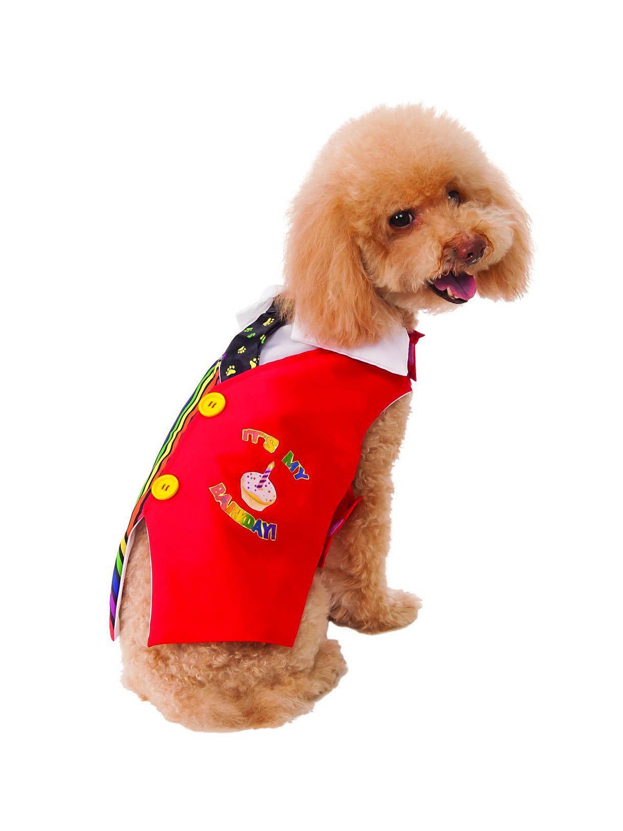 Pet Barkday Vest Costume - costumes.com