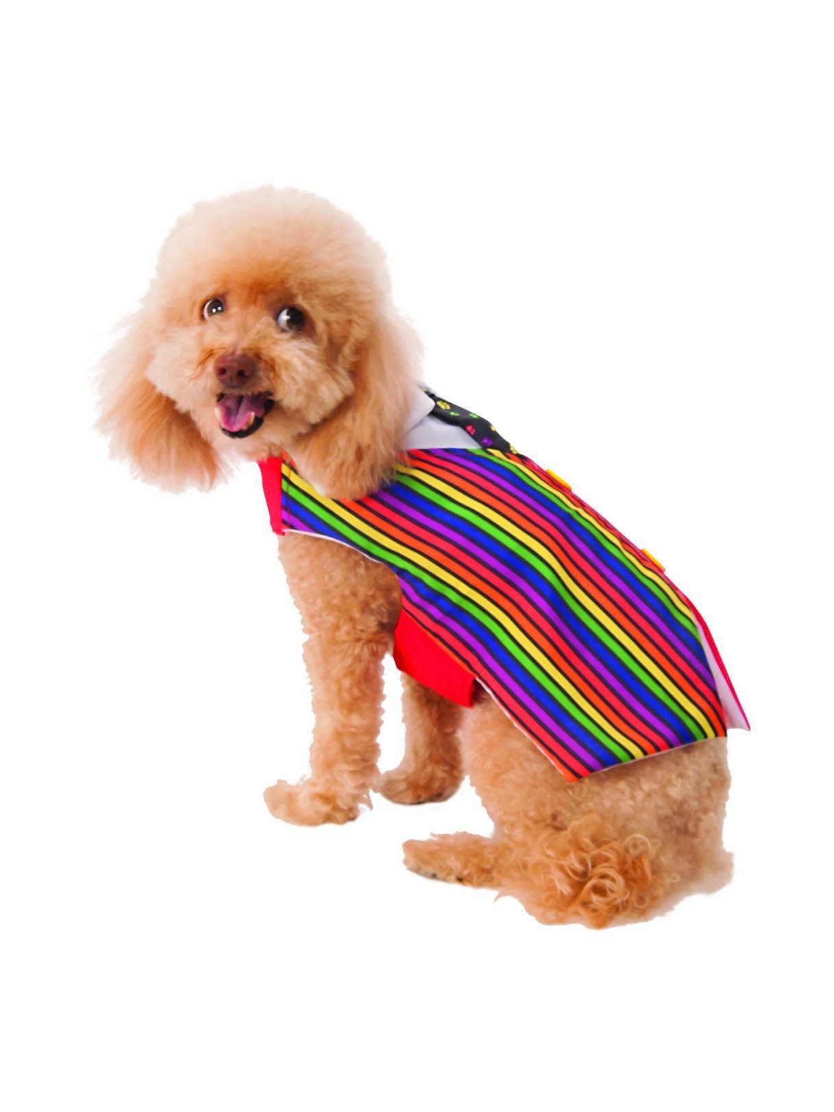 Pet Barkday Vest Costume - costumes.com