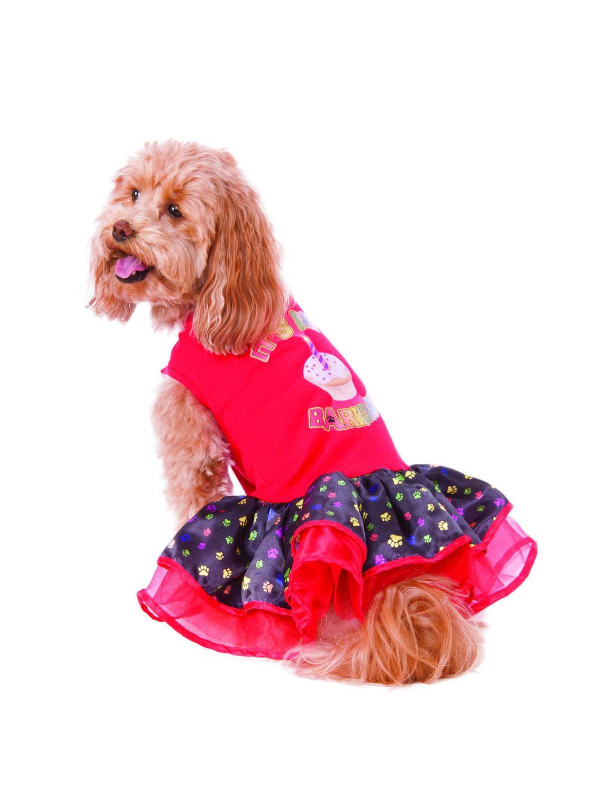 Pet Barkday Tutu Costume - costumes.com
