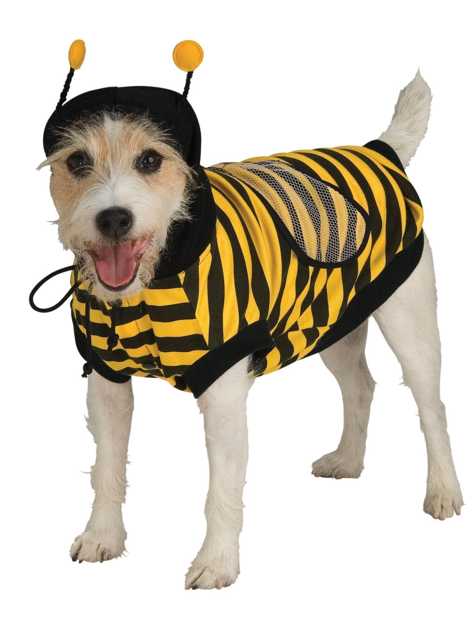 Bumble Bee Pet Costume - costumes.com